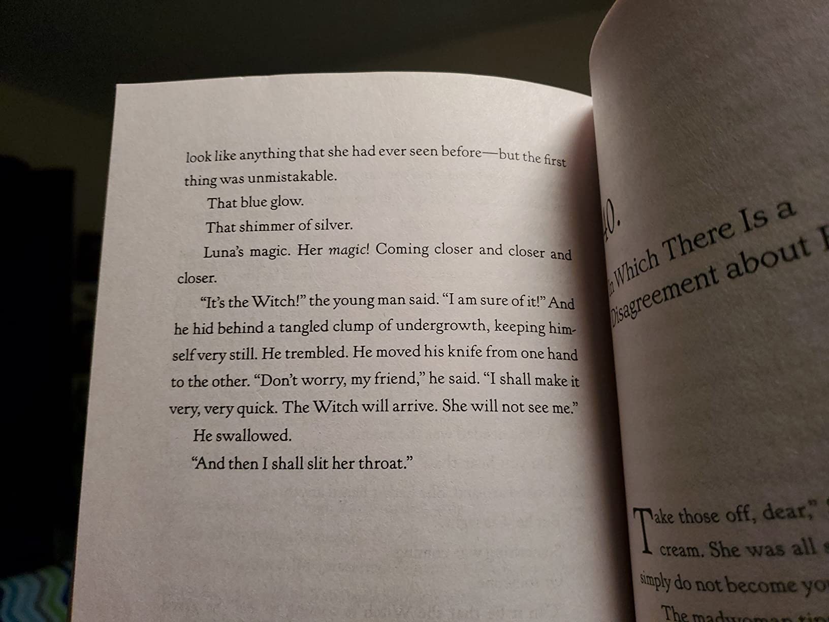 The Girl Who Drank the Moon (Winner of the 2017 Newbery Medal) customer photo 1