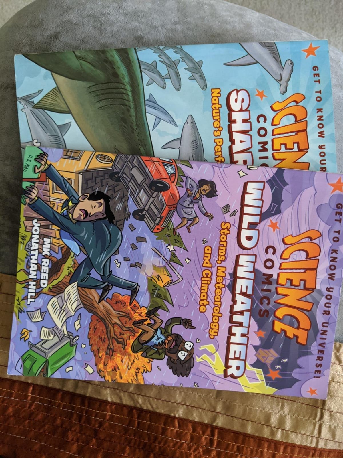Science Comics: Wild Weather: Storms, Meteorology, and Climate customer photo 1