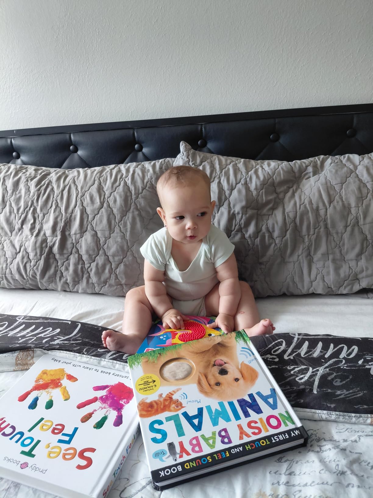 Noisy Baby Animals: Includes 6 Sounds and an On/Off Switch on the Back Cover! (My First) customer photo 1