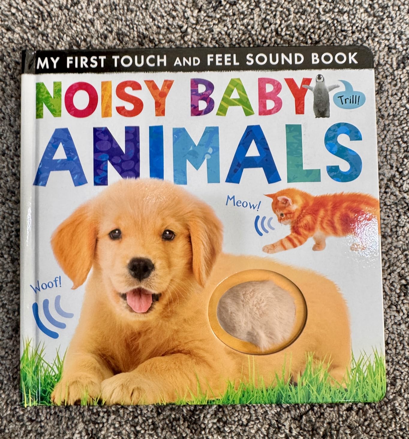 Noisy Baby Animals: Includes 6 Sounds and an On/Off Switch on the Back Cover! (My First) customer photo 2