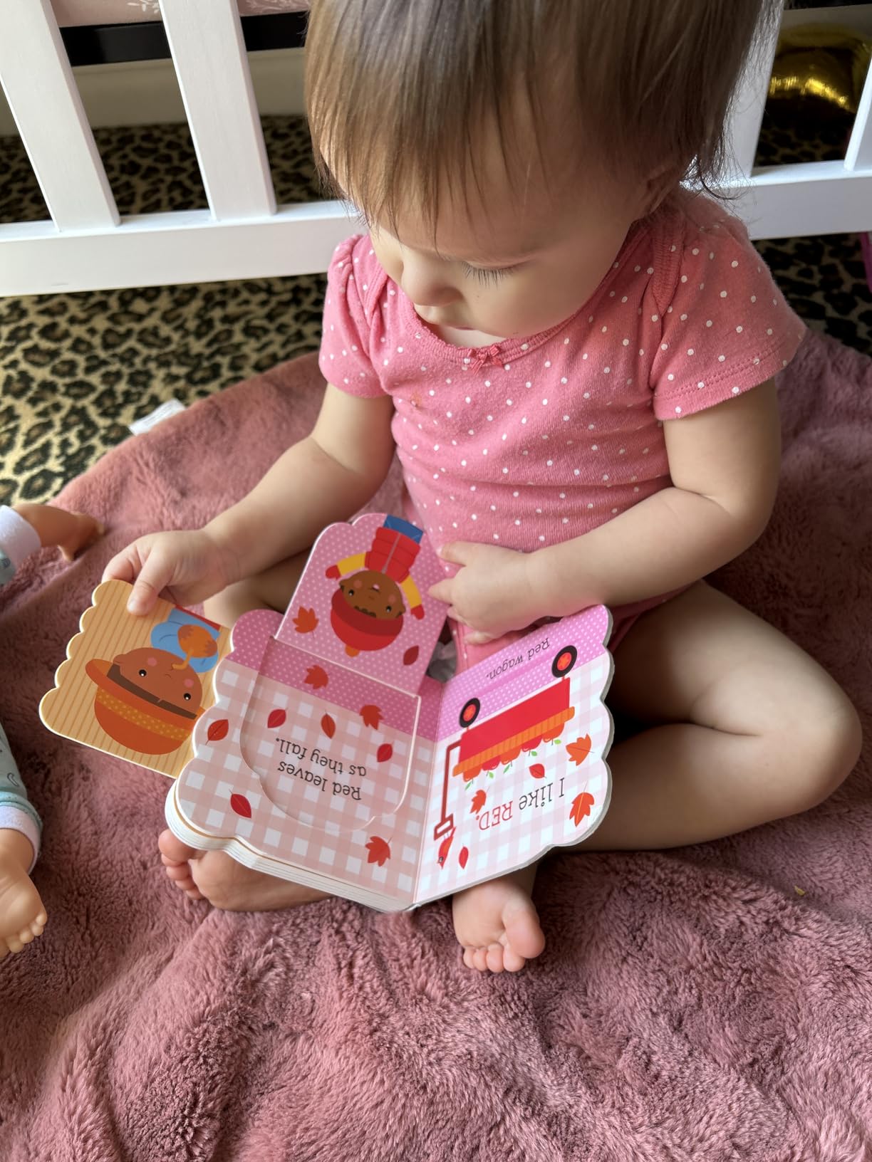 Babies Love Colors - A First Lift-a-Flap Board Book for Babies and Toddlers Learning about Colors customer photo 1