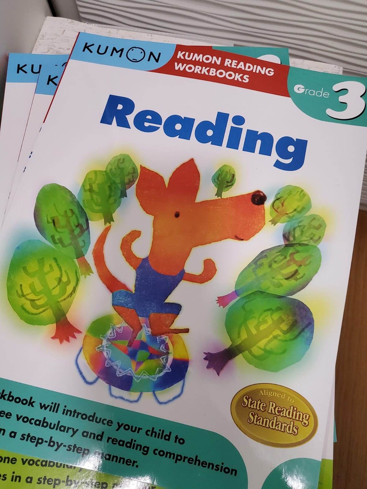 Kumon Grade 3 Reading (Kumon Reading Workbooks) customer photo 2