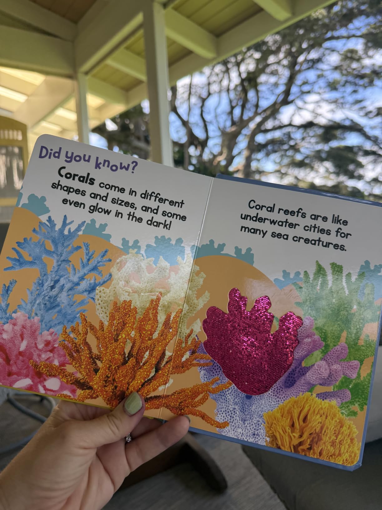 Ocean Friends - Touch and Feel Board Book - Sensory Board Book customer photo 1