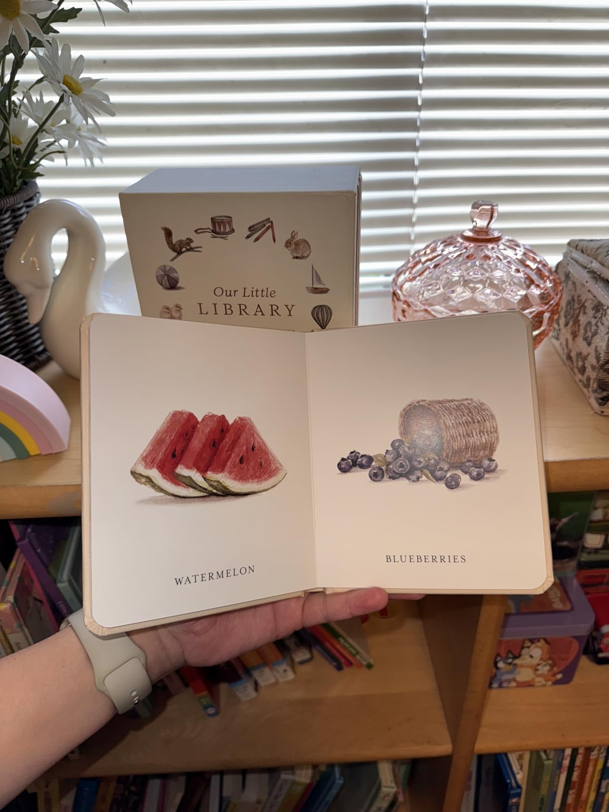Our Little Library: A Foundational Language Vocabulary Board Book Set for Babies, Including Farm & Forest Animals, Fruits & Veggies, Toys & More (Tabitha Paige Children's Book Series) customer photo 1