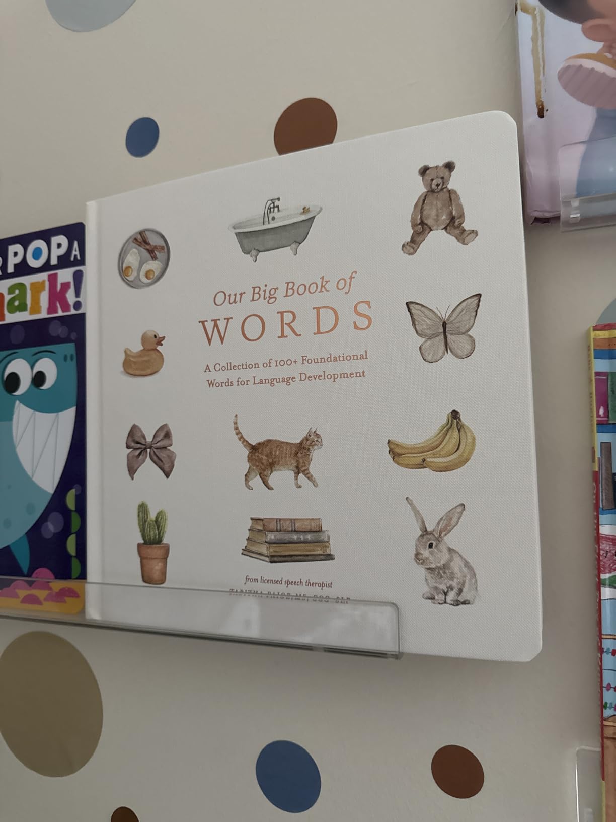 Our Big Book of First Words: A Collection of 100+ Foundational Words for Language Development (Tabitha Paige Children's Book Series) customer photo 1