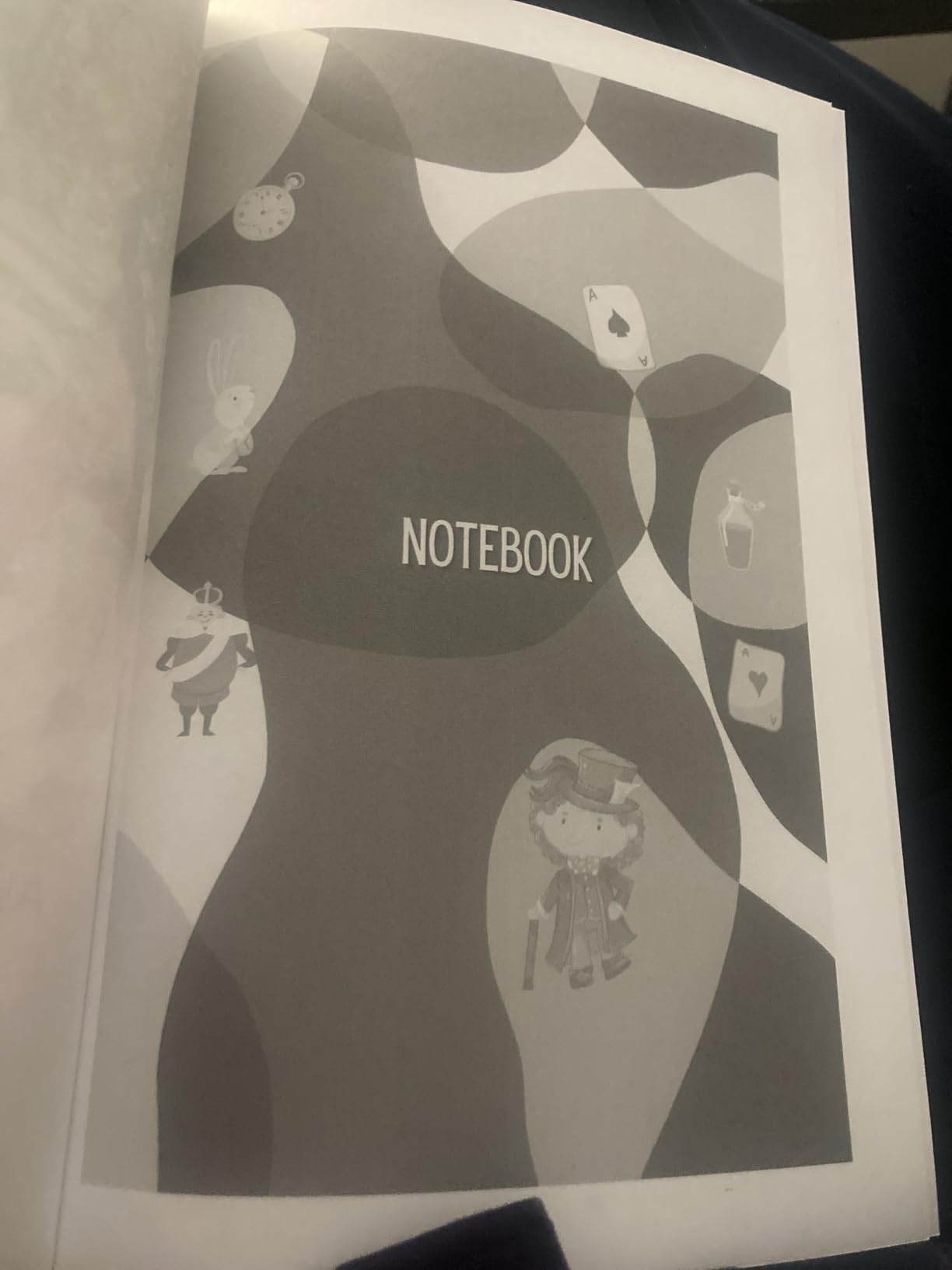 Alice's Adventures in Wonderland (Large Print Dyslexia Friendly): Coloured Illustrations: Large Print Dyslexia-Friendly Children's Classic customer photo 1