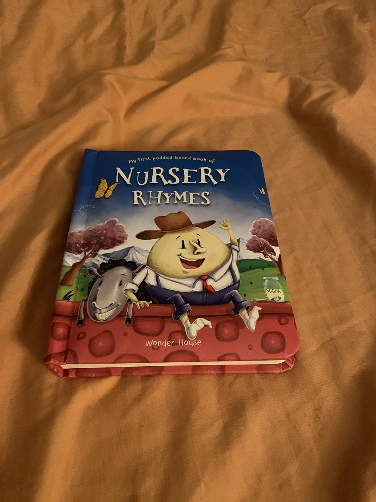 Nursery Rhymes Board Book (My First Book Series): Illustrated Classic Nursery Rhymes customer photo 1