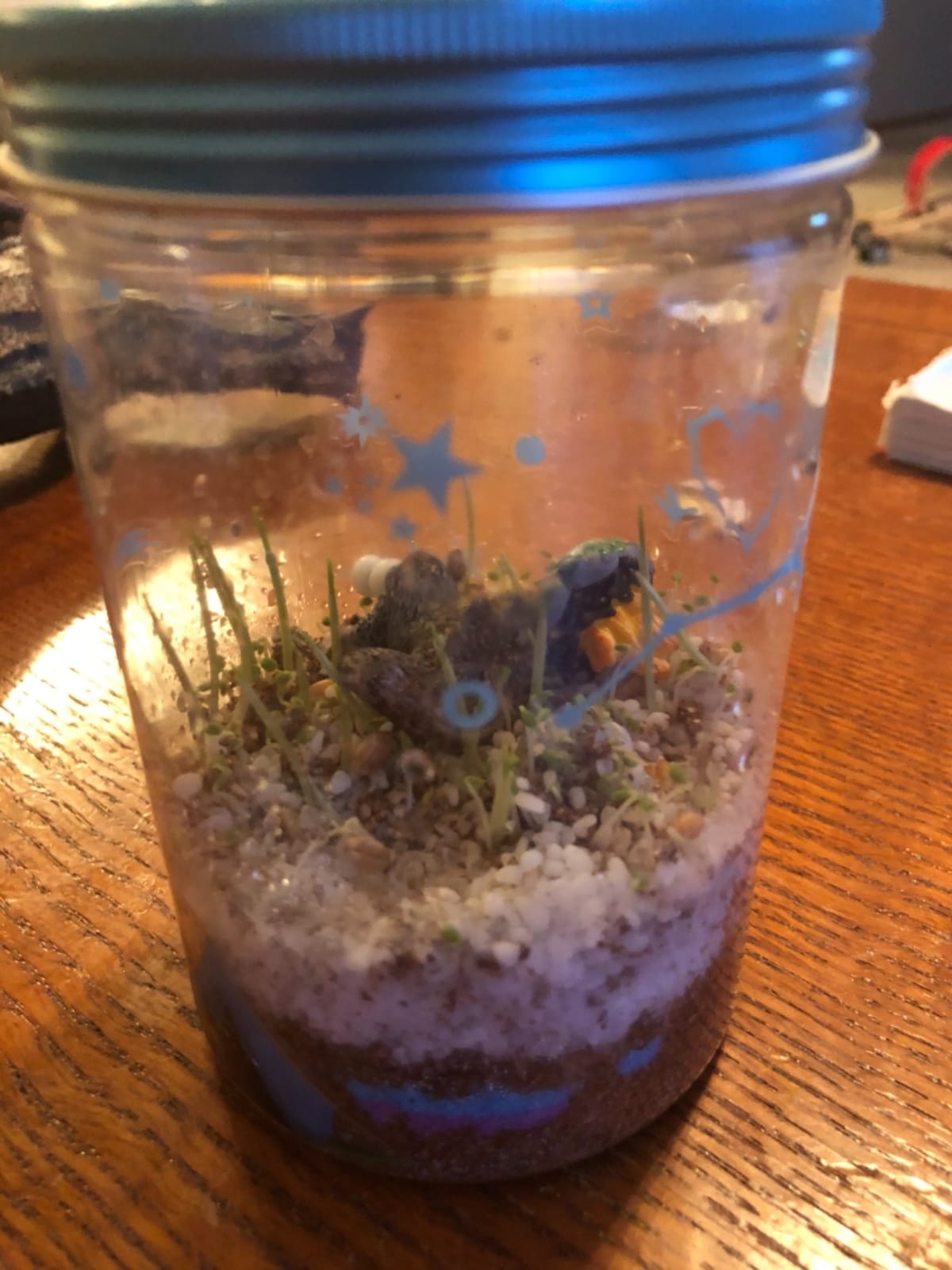 Creativity for Kids Grow 'N Glow Terrarium Kit - Educational Science Kits | Screen Free Summer Fun Activities | Gifts for Boys and Girls | Craft and STEM Projects (Ages 6+) customer photo 1