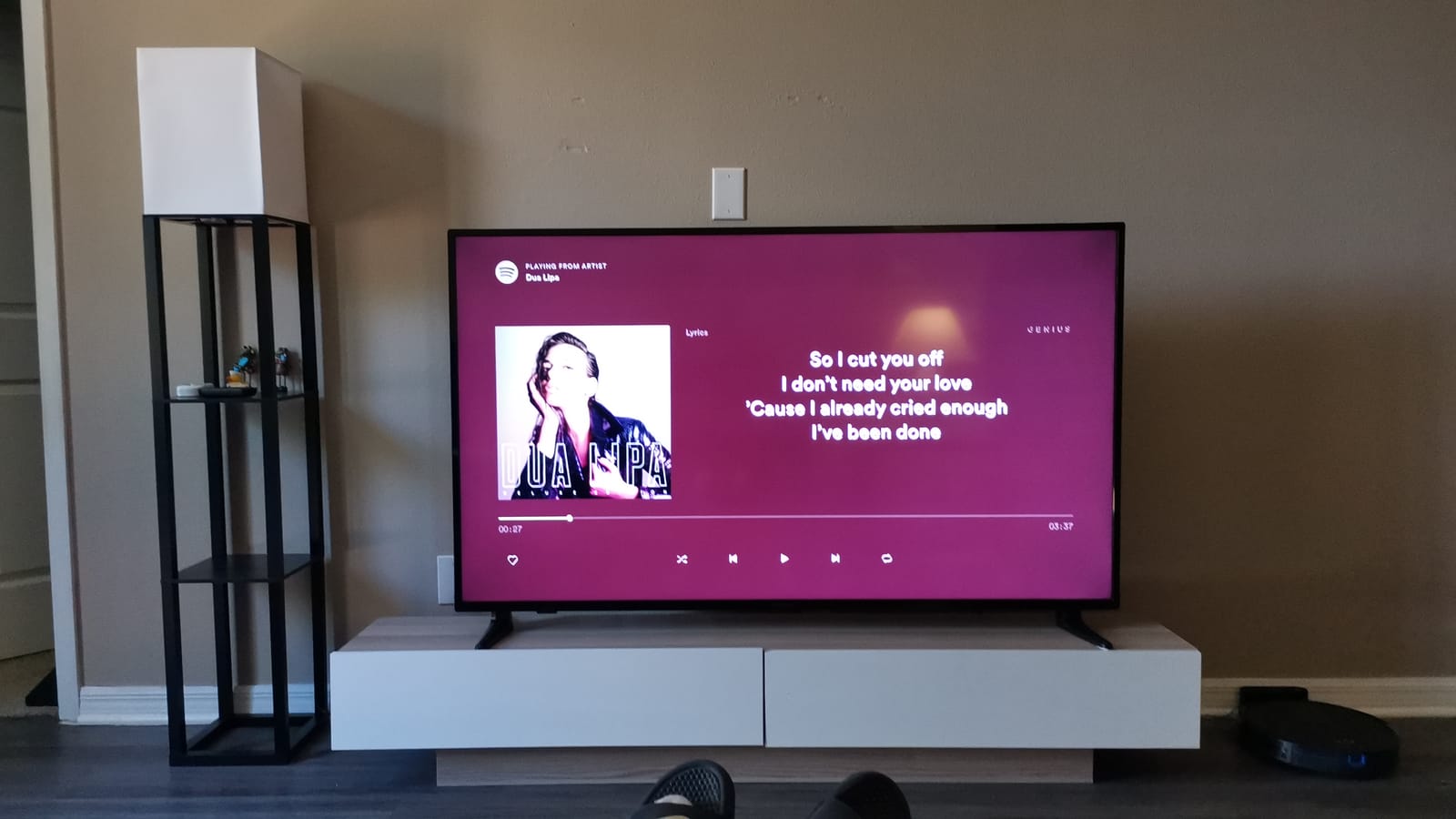 Spotify Music customer photo 2