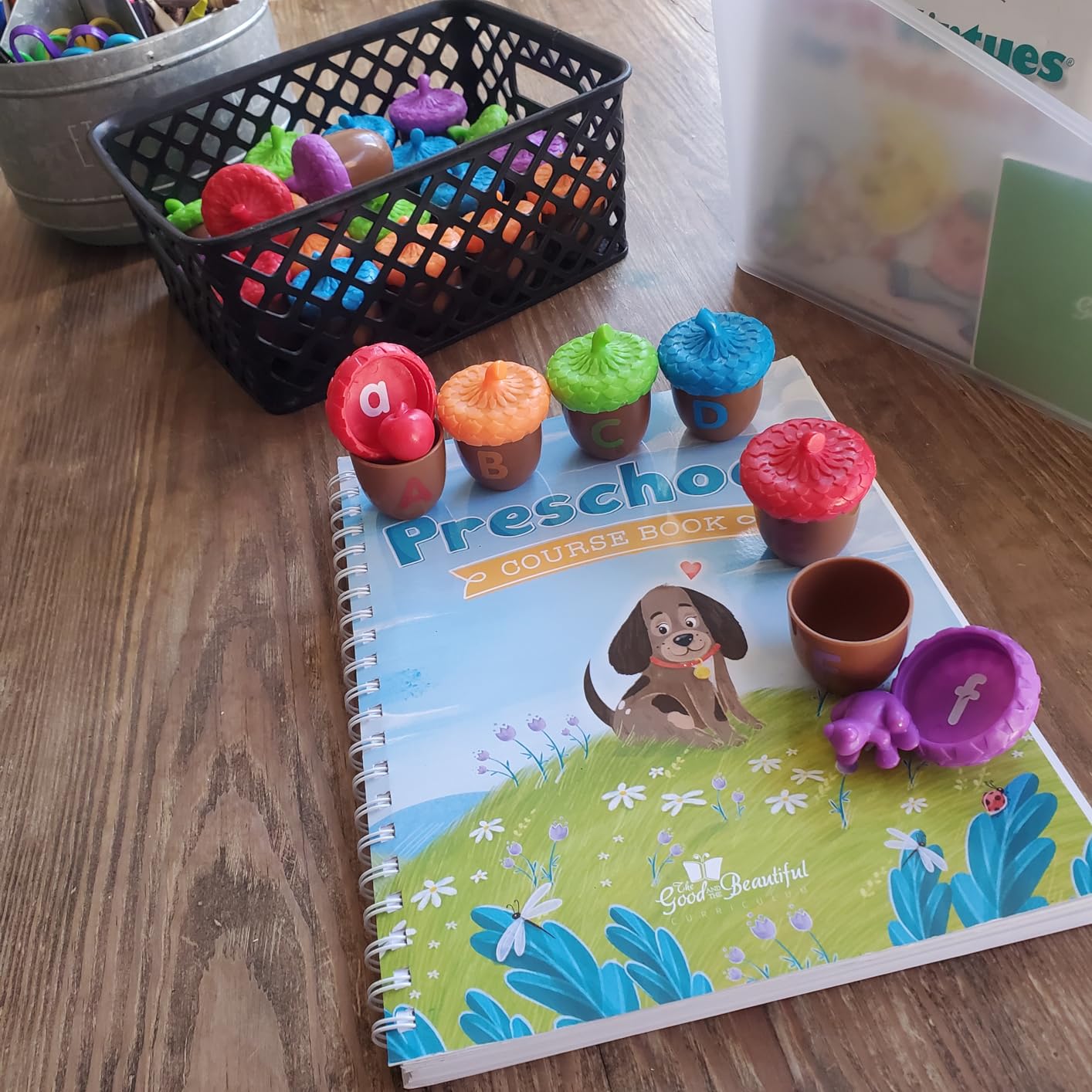 Learning Resources Alphabet Acorns Activity Set - ABC Puzzle, Preschool Learning Activities, Speech Therapy Materials, Manipulatives for Preschoolers, Fine Motor Skills customer photo 1