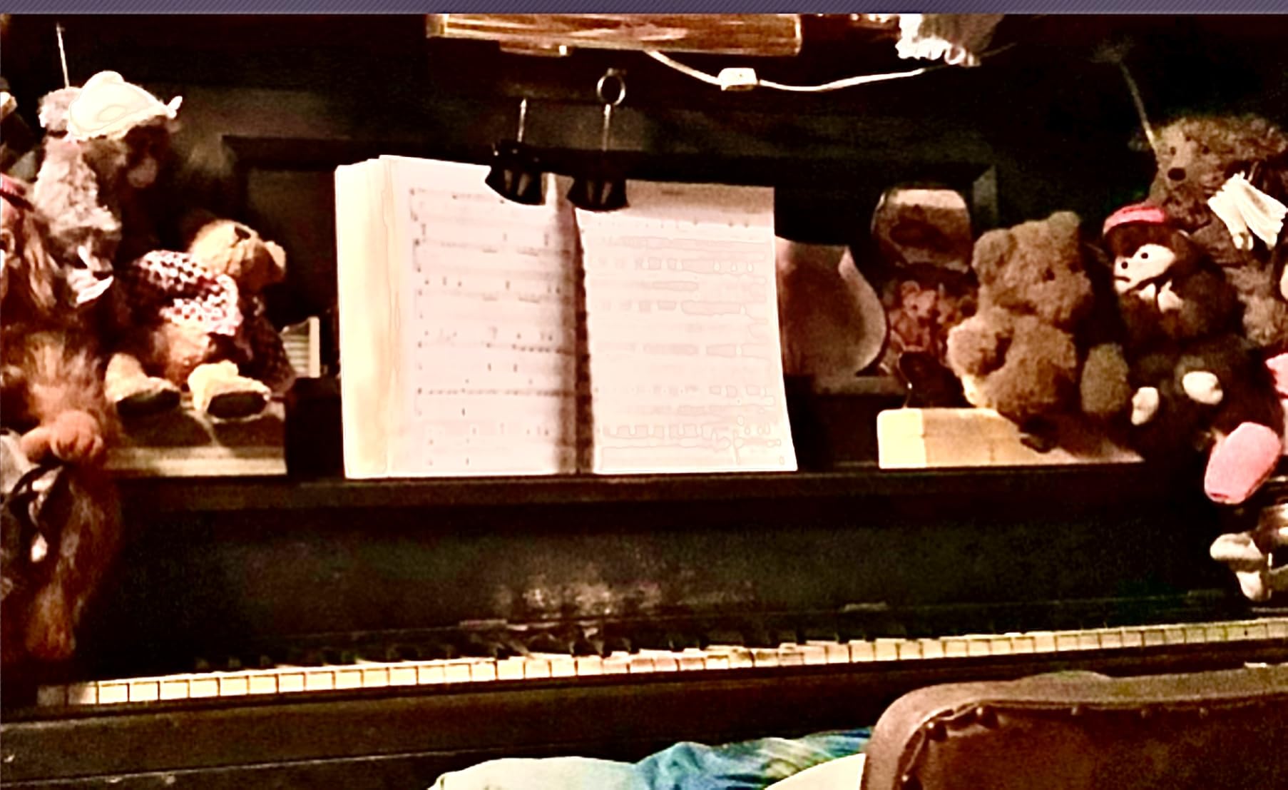 Portable Book Page Holder for Hands Free Reading in Bed, on the Go, on the Treadmill & Exercise Bike - Works on Hardcovers, Paperbacks, Magazines, and Comic, Art, Piano and Recipe Books customer photo 2