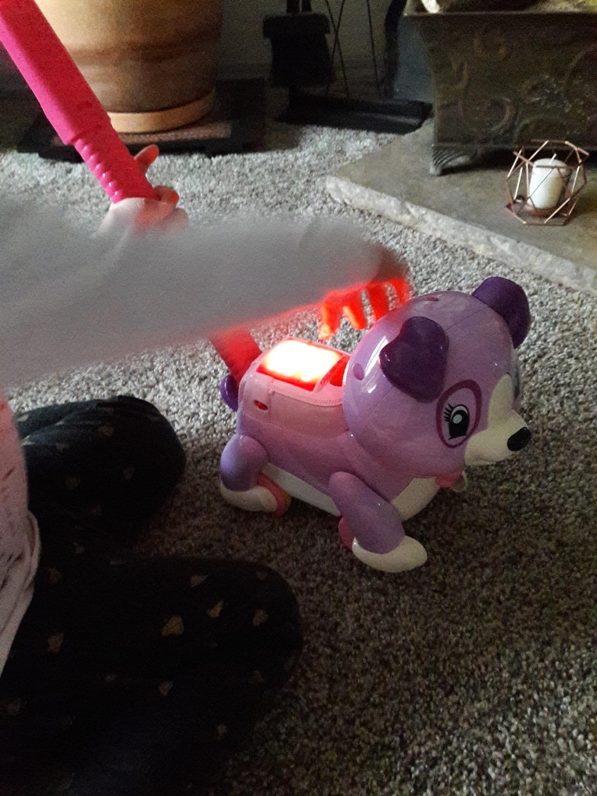 LeapFrog Step and Learn Violet customer photo 2