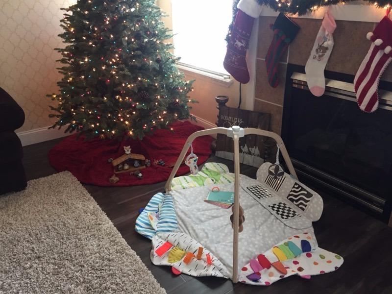 Lovevery, The Play Gym, 5-Stage Baby Developmental for Full Year of Play customer photo 2