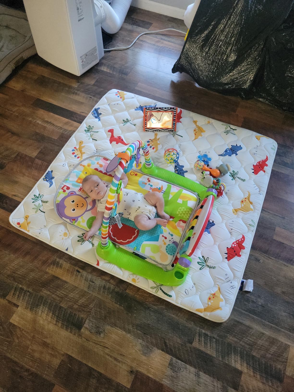 Fisher-Price Baby Playmat Deluxe Kick & Play Piano Gym for Learning & 2 Maracas Soft Rattles for Newborn to Toddler Play Ages 0+ Months customer photo 2