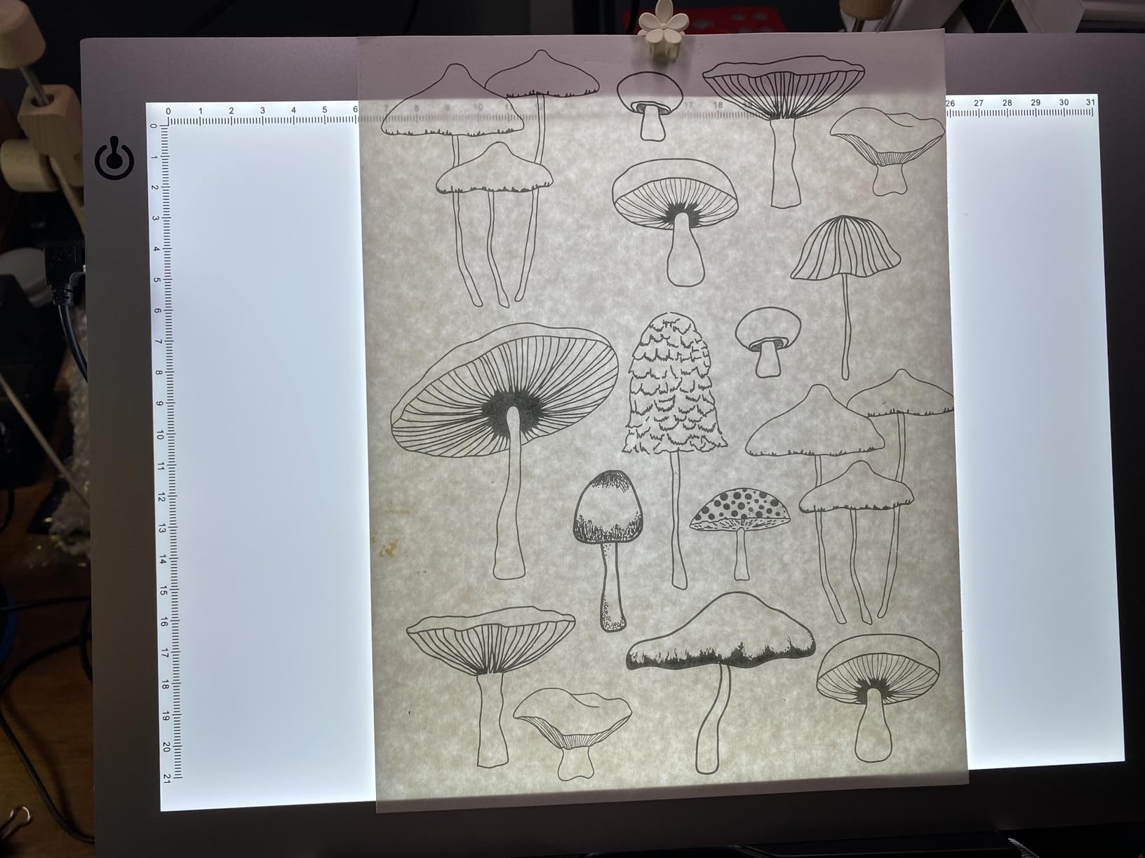 LitEnergy A4 LED Copy Board Light Tracing Box, Adjustable USB Power Artcraft LED Trace Light Pad for Tattoo Transferring, Drawing, Sketching, Animation, Stenciling, Diamond Art Painting Accessories customer photo 2