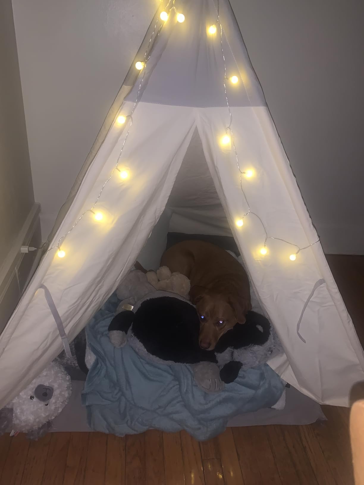 besrey Teepee Tent for Kids, Cotton Canvas Play Tent with Lights & Mat, Sturdy Toddler Tipi Tent Playhouse for Boys Girls, Foldable Indoor Outdoor Camping Reading Hideaway | 47.2 x 47.2 x 61, Cotton Canvas, Soft Floor Thin Mat, Wooden Frame, Cozy Hideaway, Reading Nook, Birthday Gift For Kids customer photo 1