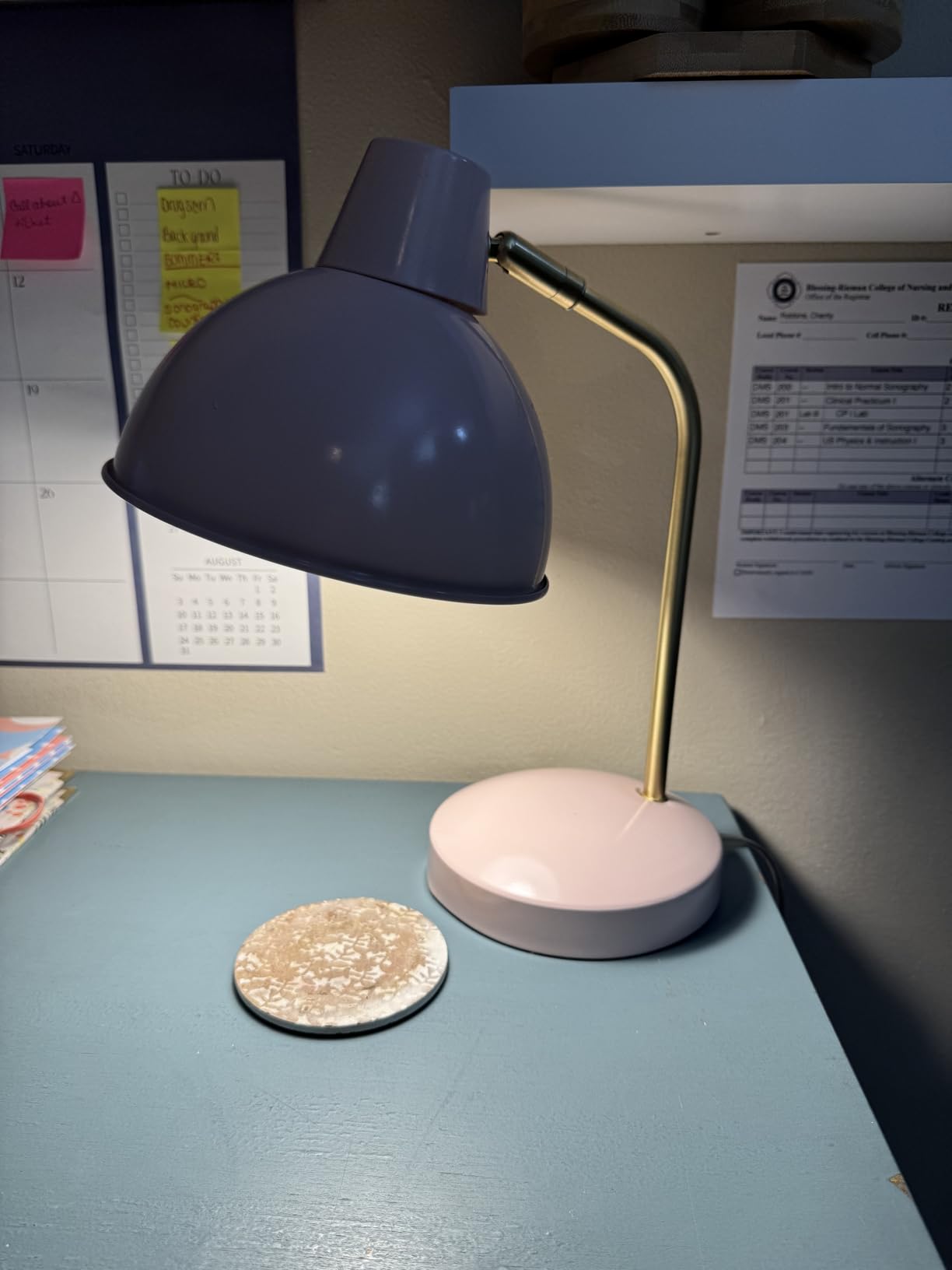 Globe Electric 67339 16 Inch Pink Desk Lamp with Gold Arm, In-Line On/Off Switch, Reading Light, Ideal for Bedroom, Dorm and Office customer photo 2