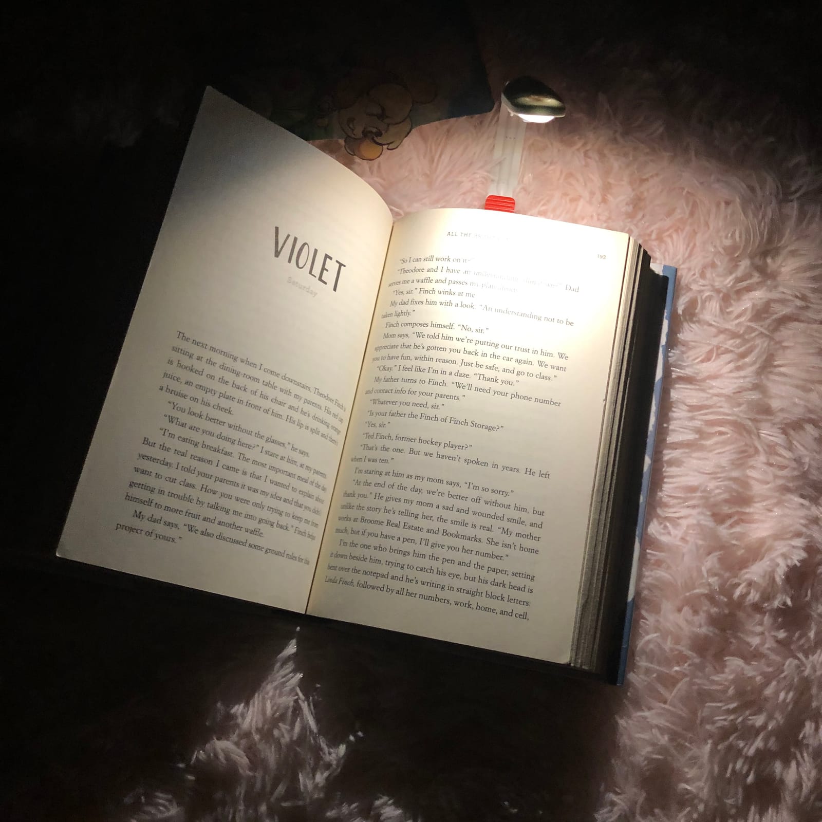 Energizer Clip-on Book Light for Bed, LED Reading Light for Books & Kindles, 25 Hour Run Time, Kindle & Book Lamp (Batteries Included), White customer photo 1