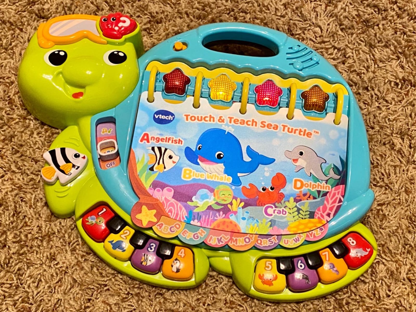 VTech Touch and Teach Sea Turtle Interactive Learning Book, Green customer photo 1