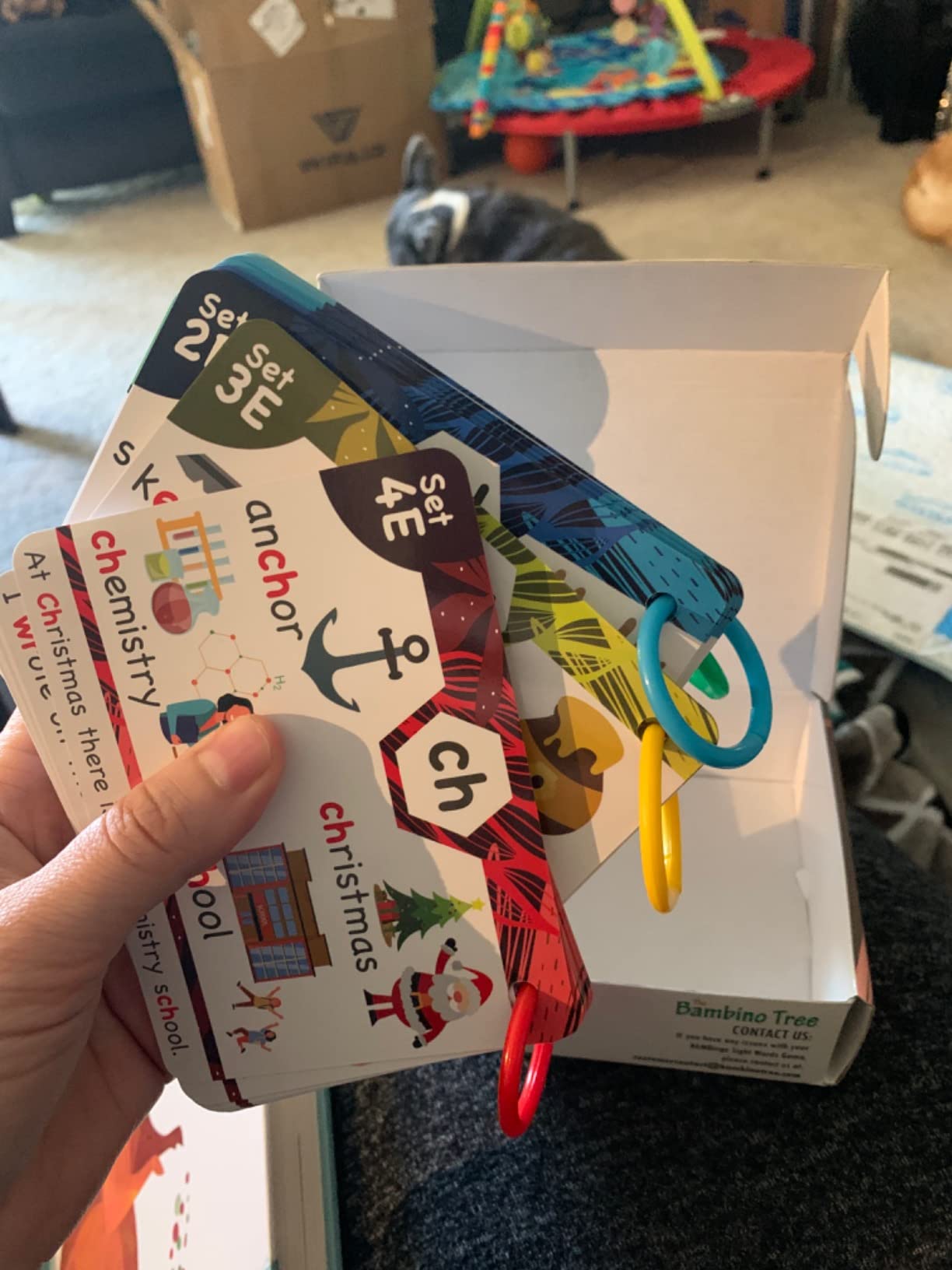 Phonics Flash Cards - Learn to Read in 20 Phonic Stages - Education for Kids Ages 4-8 Kindergarten 1st 2nd Grade customer photo 1