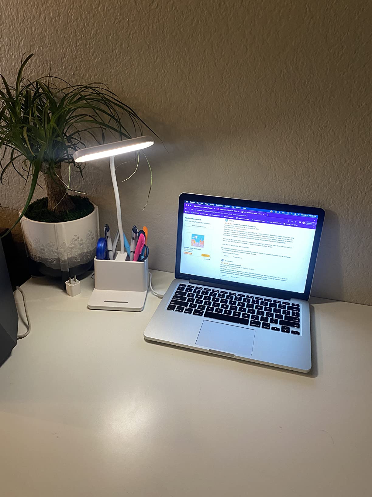 Cute Desk Lamp, Pink Table Light for Women, Teen Girls | LED, Small, Rechargeable, Battery Operated, Touch Control, Gooseneck, Home Office Accessories, College Dorm Essentials customer photo 2