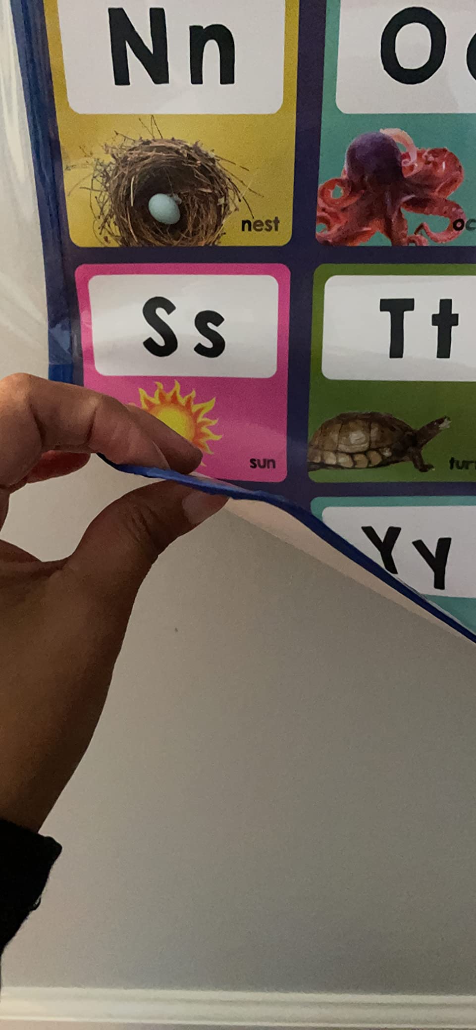 LEARNING BUGS Press to Learn Phonics, Interactive Letters and Sounds Talking Poster, Preschool & Kindergarten Learn to Read, Ages 3+ customer photo 2