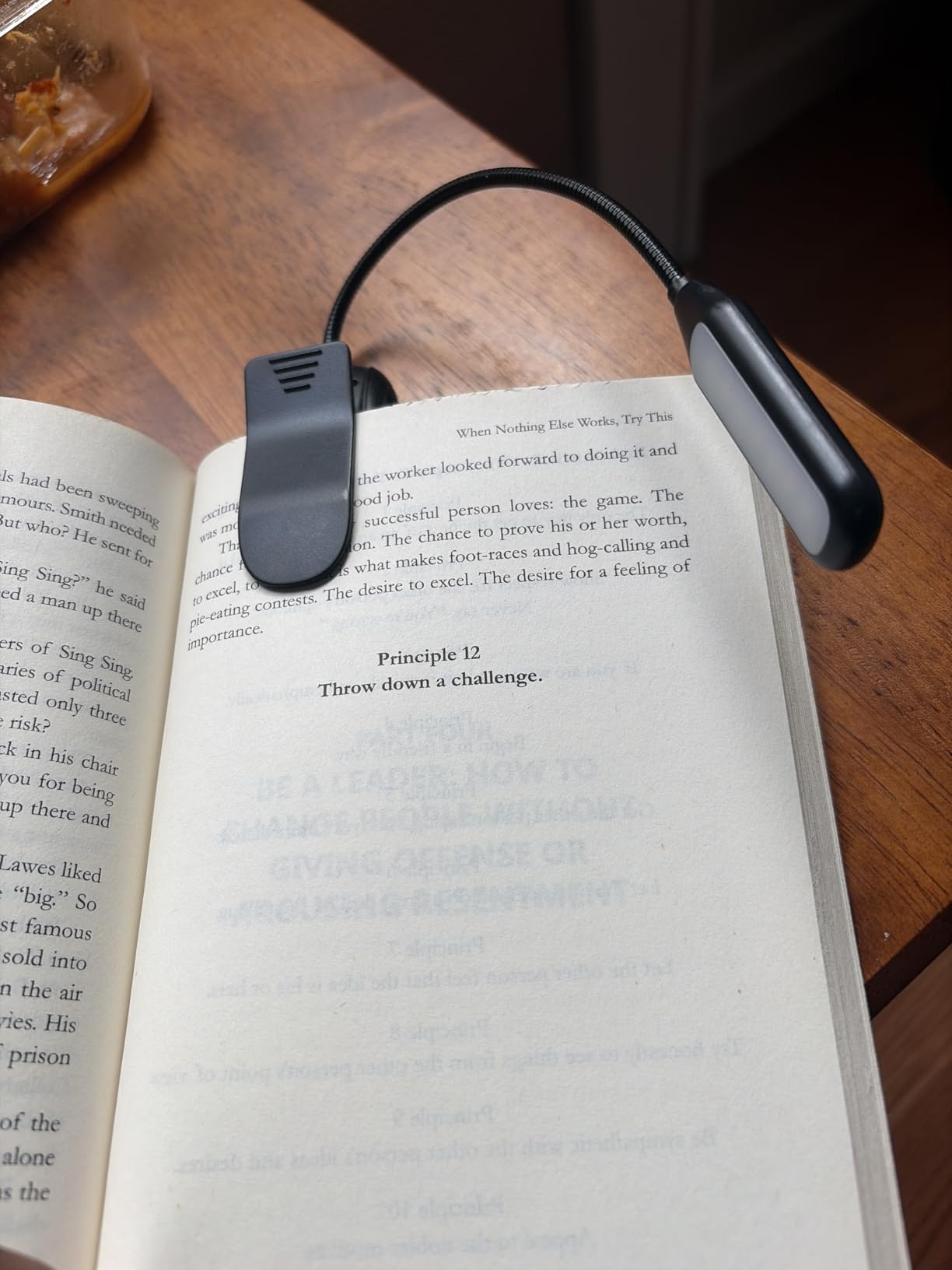 Monotremp Rechargeable Book Lights for Reading at Night, Clip-On 3 Colors | Eye-caring ultralight clip-on, stepless dimming, no flicker, amber mode, 80H runtime, 1.3oz, memory, gift for book lovers customer photo 1