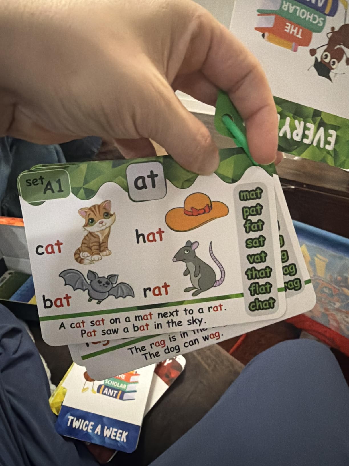 Phonics Flash Cards with Proven Spaced Repetition Learning System - Learn to Read in 20 Phonic Stages - Digraphs CVC Blends Long Vowel Sounds Phonics Games for Kids Ages 4-8 Kindergarten 1st 2nd Grade customer photo 1