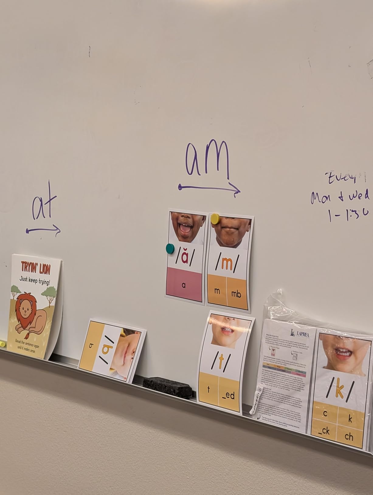 Sound Wall for Teachers: Phoneme Posters, Grapheme Cards, ESL and Speech Therapy Materials, Phonics Manipulatives, Vowel Valley customer photo 1