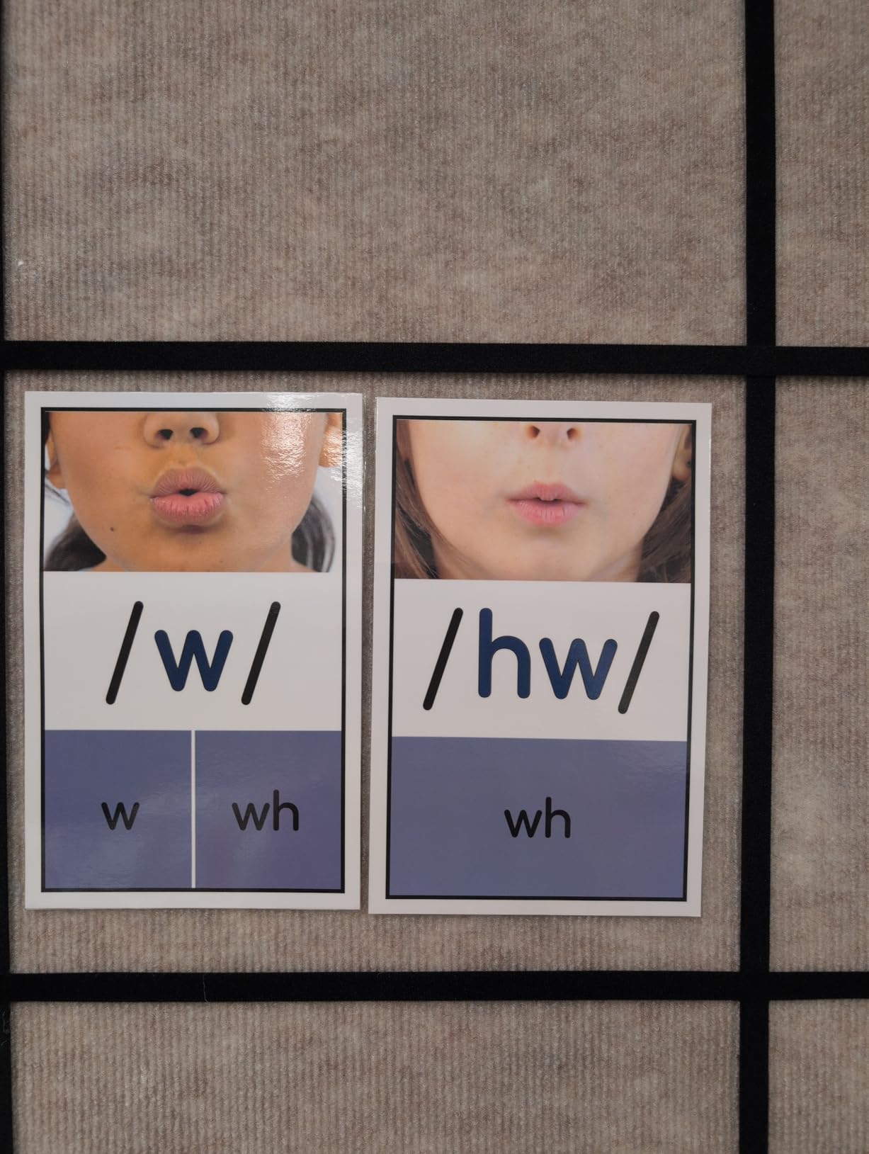 Sound Wall for Teachers: Phoneme Posters, Grapheme Cards, ESL and Speech Therapy Materials, Phonics Manipulatives, Vowel Valley customer photo 2