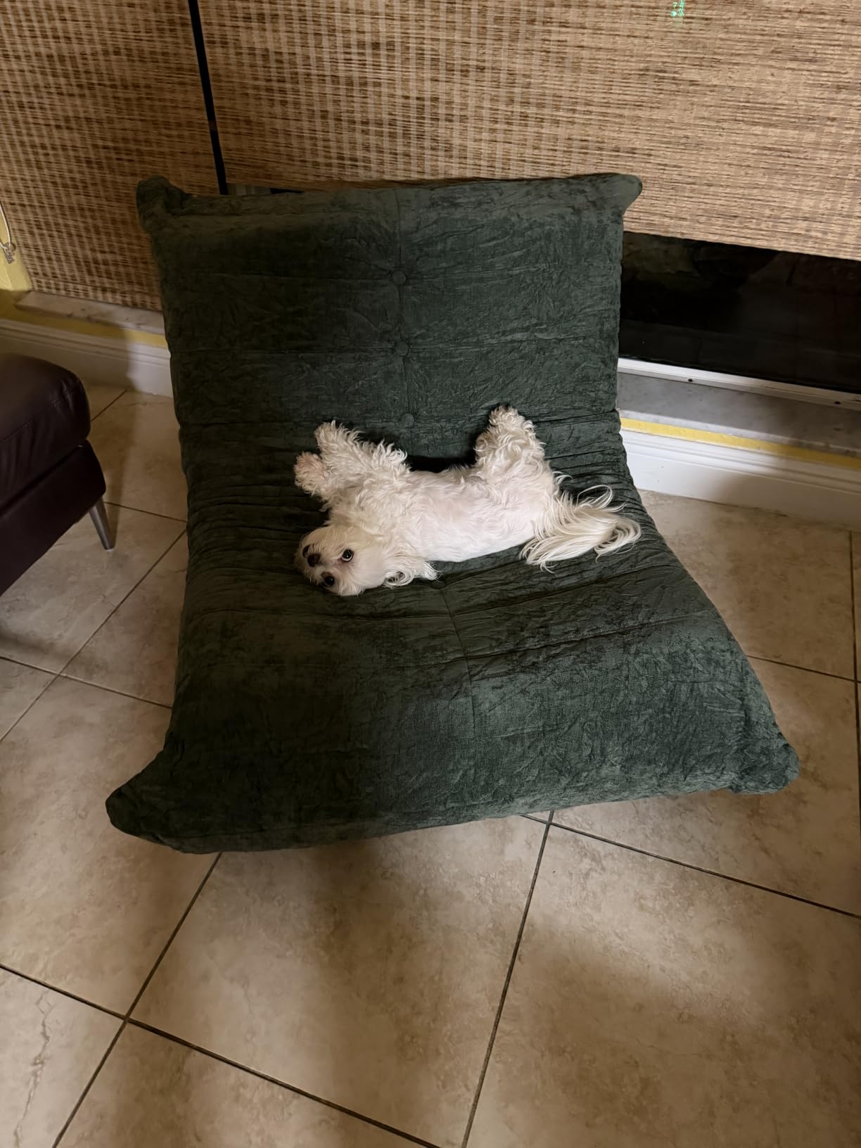 Hobestluk Adults Bean Bag Chair Faux Fur BeanBag Couch for Living Room | Green Chenille, Ergonomic Design, Memory Foam, UltraSoft, Anti-slip Bottom, No Assembly Required, Decorative Style for Living Room customer photo 2