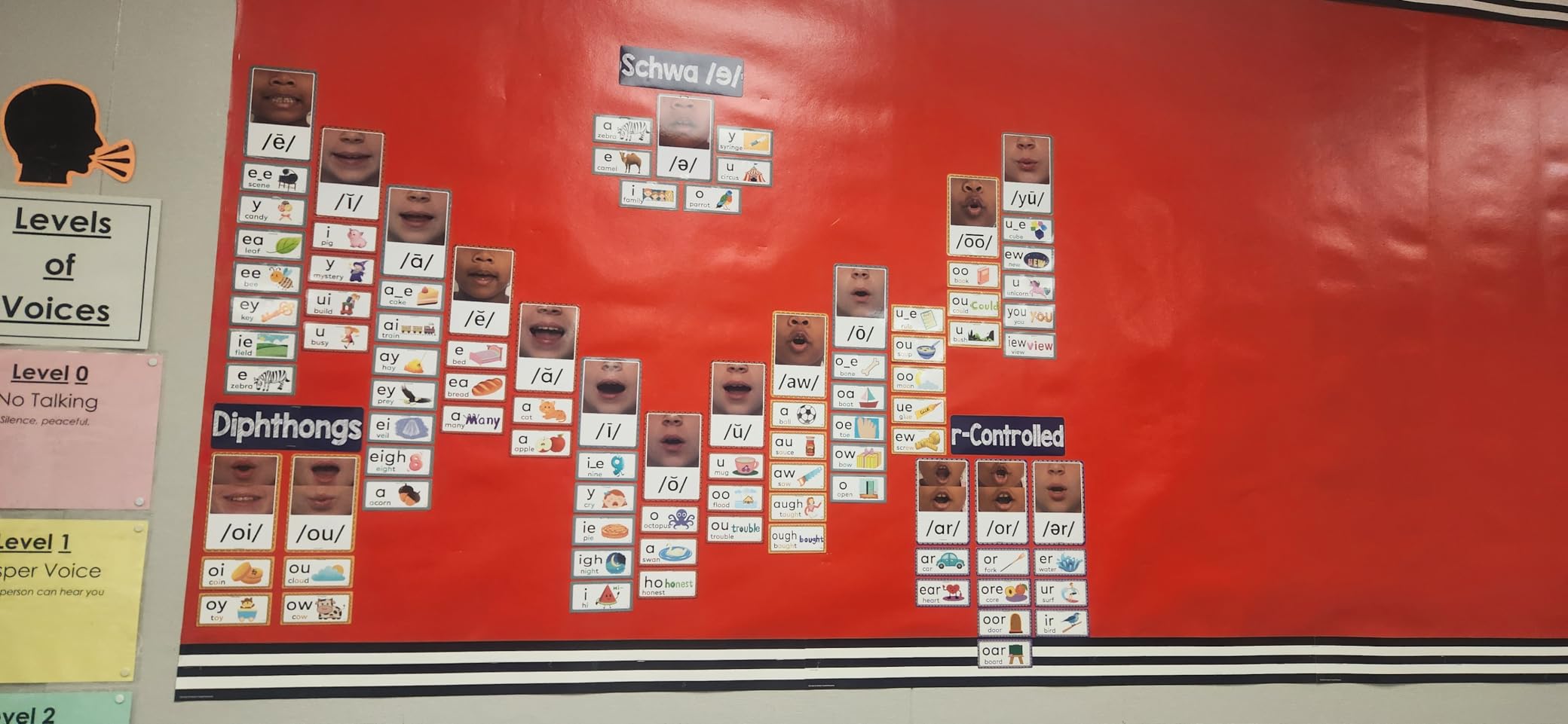 Sound Wall Classroom Phonics Kit, Science of Reading Sound Wall Consonants & Vowel Valley Classroom Decor (220 Cards) customer photo 1