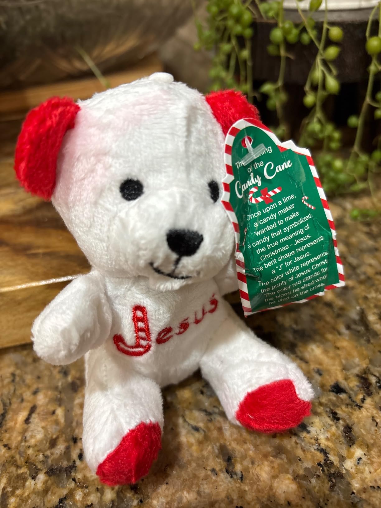 Silipull 12 Pcs I Love to Read Stuffed Bears Summer Reading Gifts Back to School Gifts Holiday Reading Prizes 4