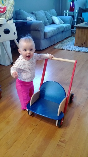 HABA Walker Wagon - Wooden Baby Push Walker, Sit to Stand Walker for Baby Learning to Walk, Push Toys for Toddlers 1-3 with Seat & Storage, 10 Months+ customer photo 1