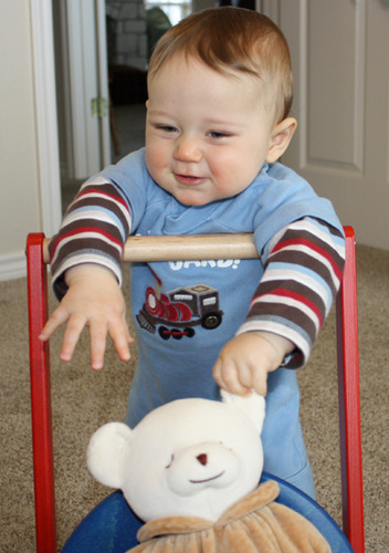 HABA Walker Wagon - Wooden Baby Push Walker, Sit to Stand Walker for Baby Learning to Walk, Push Toys for Toddlers 1-3 with Seat & Storage, 10 Months+ customer photo 2