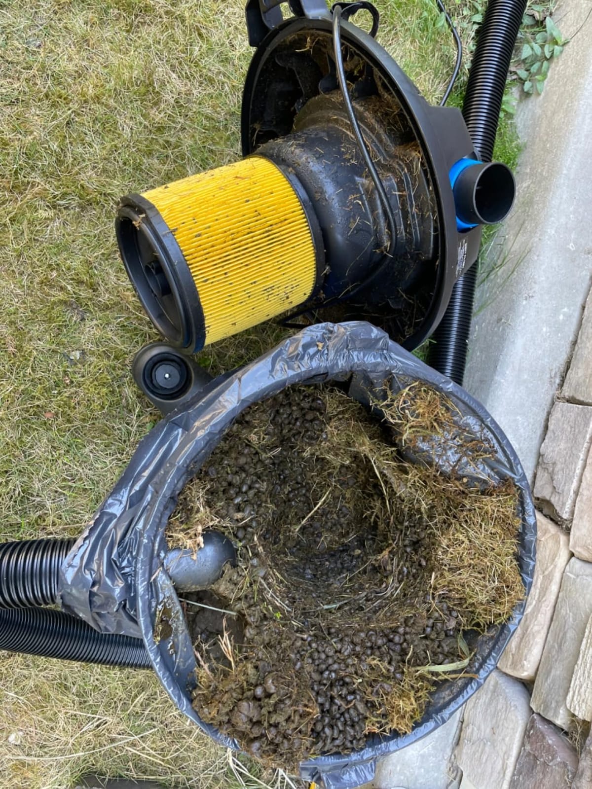 Vacmaster Blue Line 12-Gallon* 5 Peak HP† Wet/Dry Vacuum with Detachable Blower VBV1210 customer photo 1