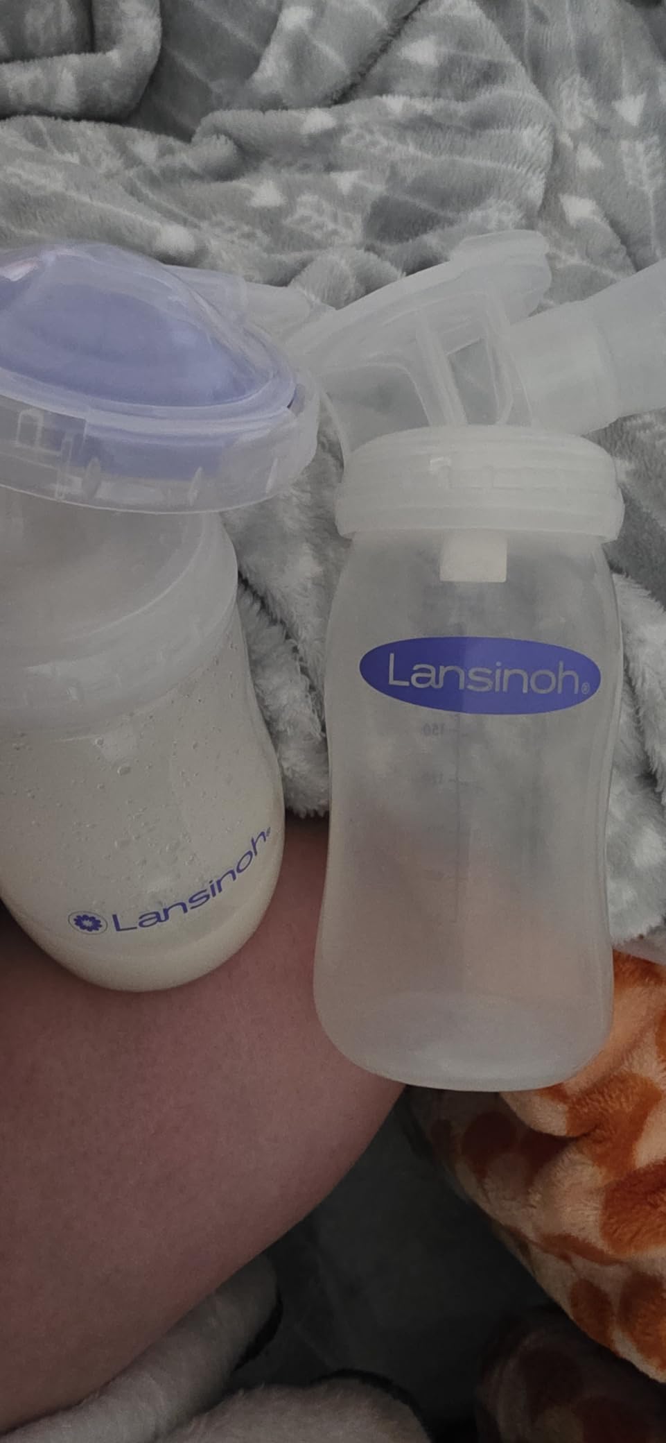 Lansinoh Anti-Colic Baby Bottles, 8 Ounce, 3 Count | Medium Flow Nipples (M), Breastfeeding Bottle with NaturalWave Design, BPA-Free Plastic, Baby Essentials customer photo 2