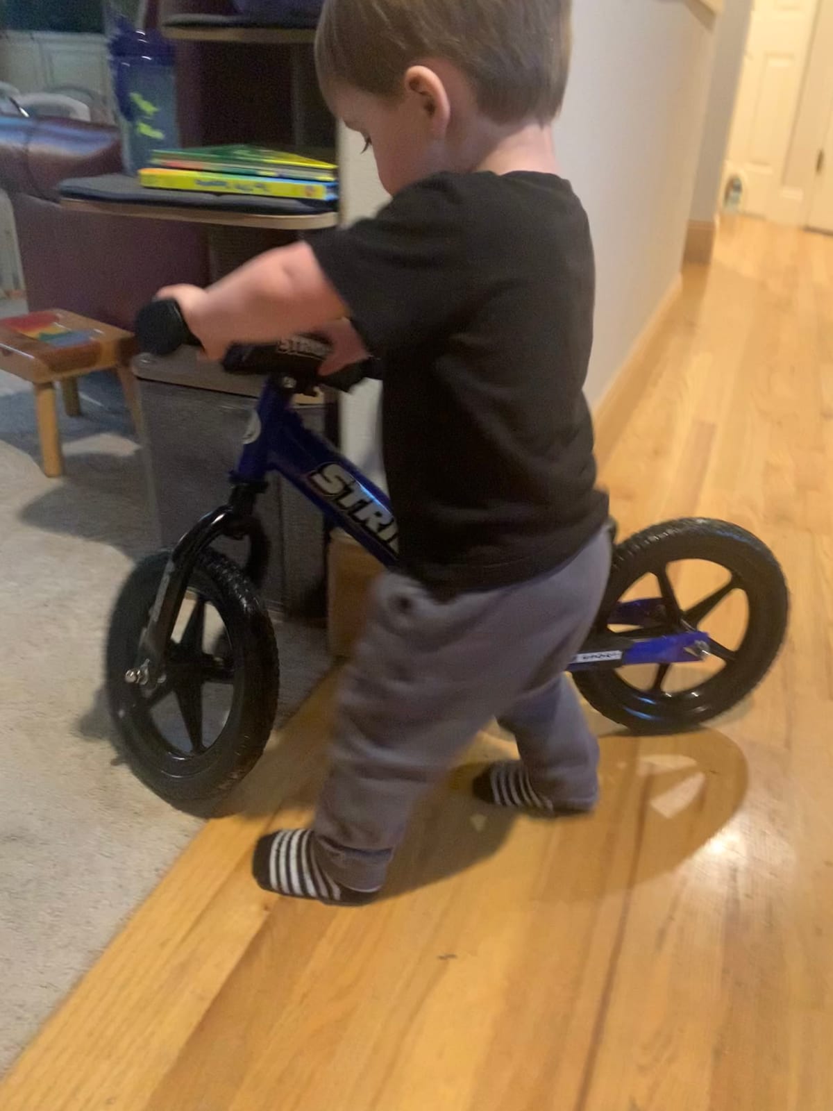 Strider 12 Sport, No Pedal Balance Bike for Kids Ages 1–4 Years, Blue customer photo 1