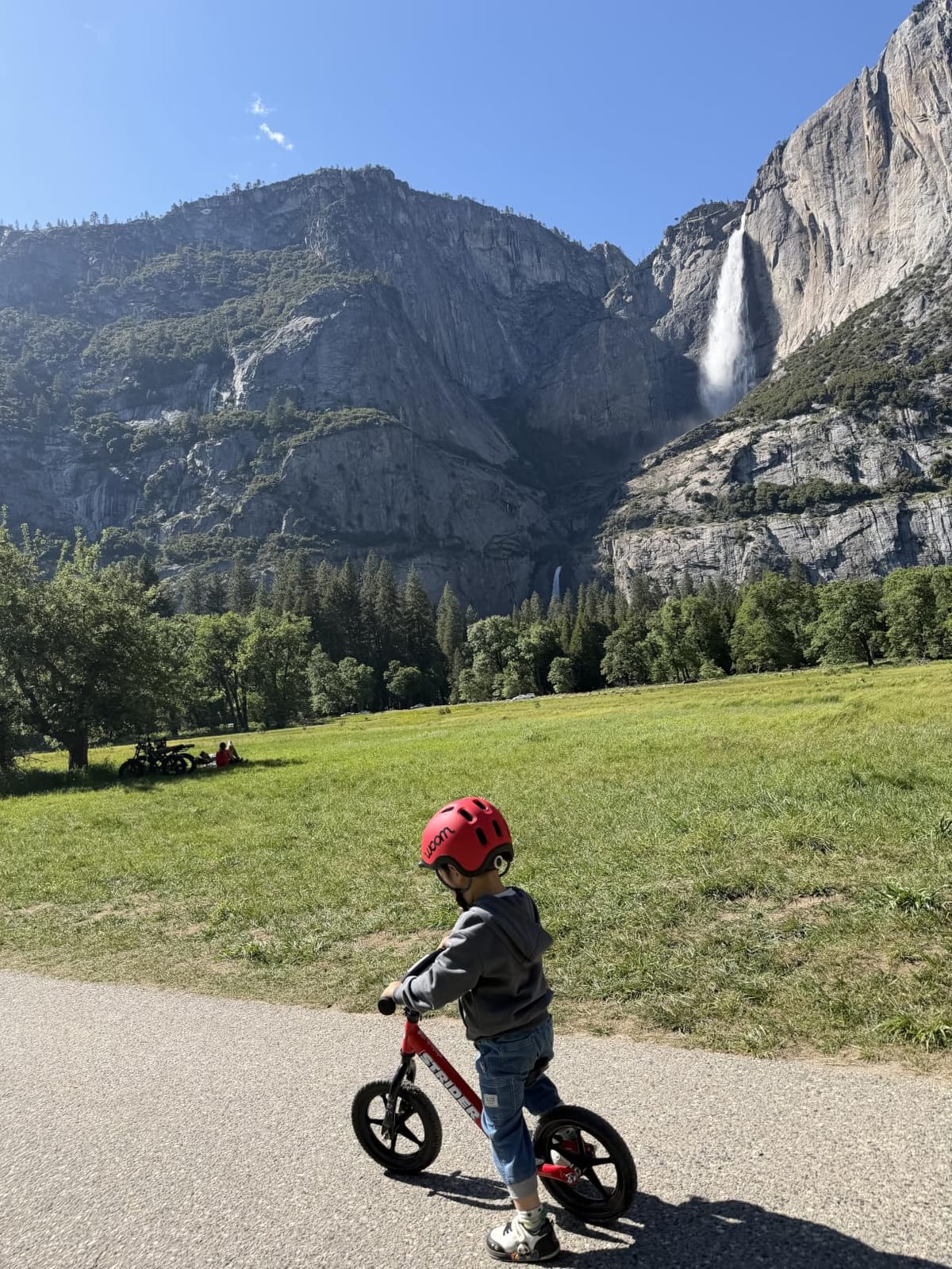 Strider 12 Sport, No Pedal Balance Bike for Kids Ages 1–4 Years, Pink customer photo 1