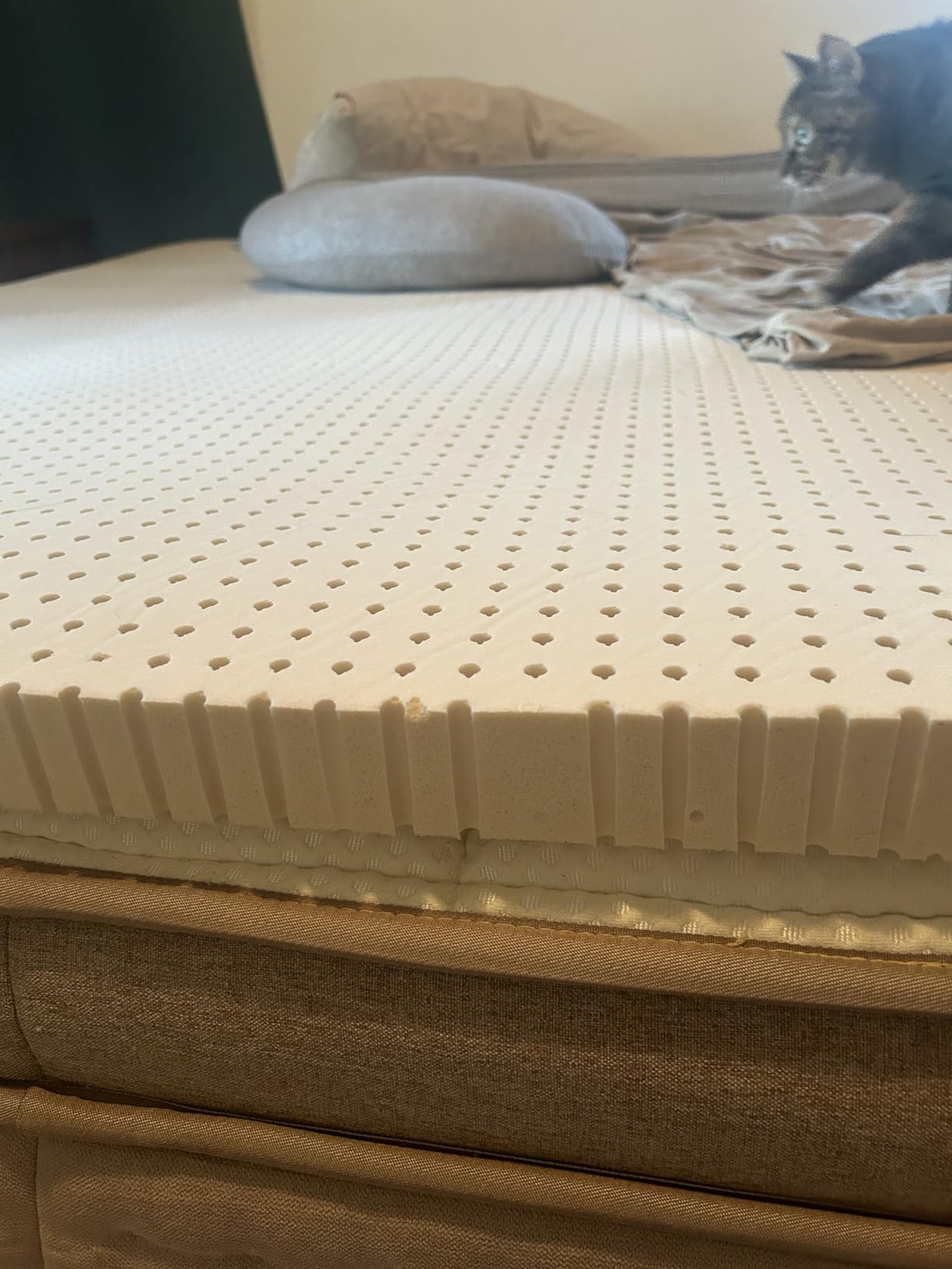 Pure Green Natural Latex Mattress Topper - Firm - 3 Inch - Queen Size (GOLS Certified Organic) customer photo 2