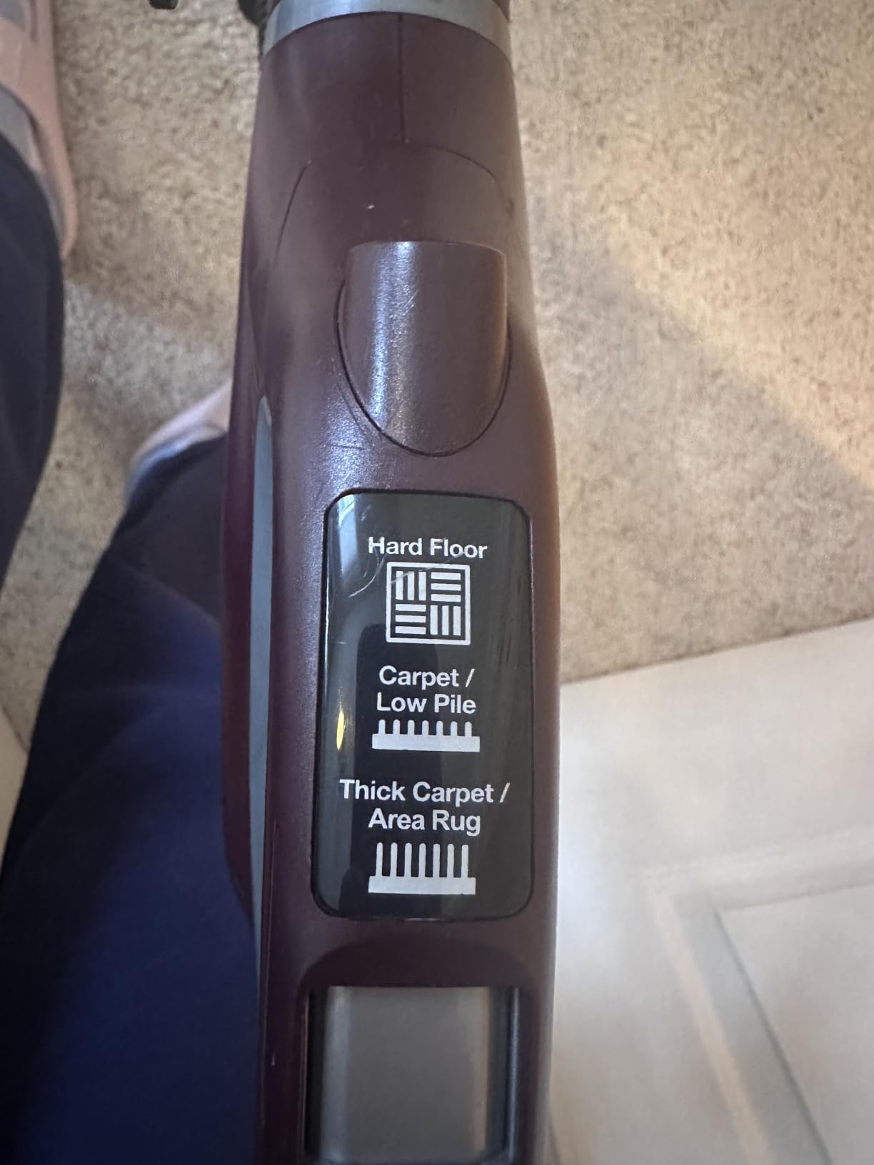 Shark NV752 Rotator Powered Lift-Away TruePet Upright Vacuum with HEPA Filter, Large Dust Cup Capacity, LED Headlights, Upholstery Tool, Perfect Pet Power Brush & Crevice Tool, Bordeaux customer photo 1