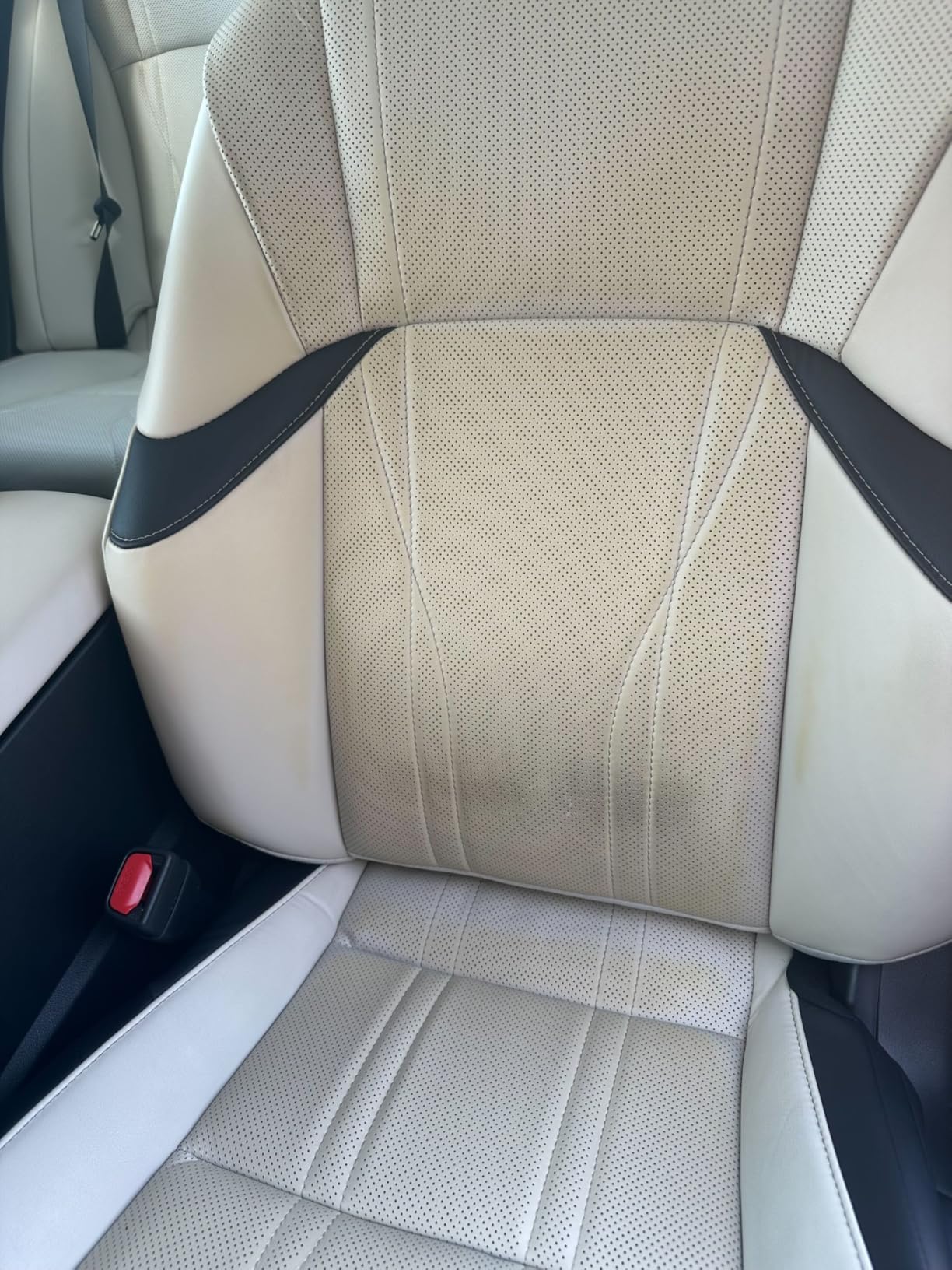 Gorla Gear Black Premium Universal Fit Waterproof Stain Resistant Car Seat Cover Neoprene Non-Slip Bucket Seat Dog Sweat Proof Protector Save Your Leather Cloth Seats Van Truck SUV Auto Sedan customer photo 2