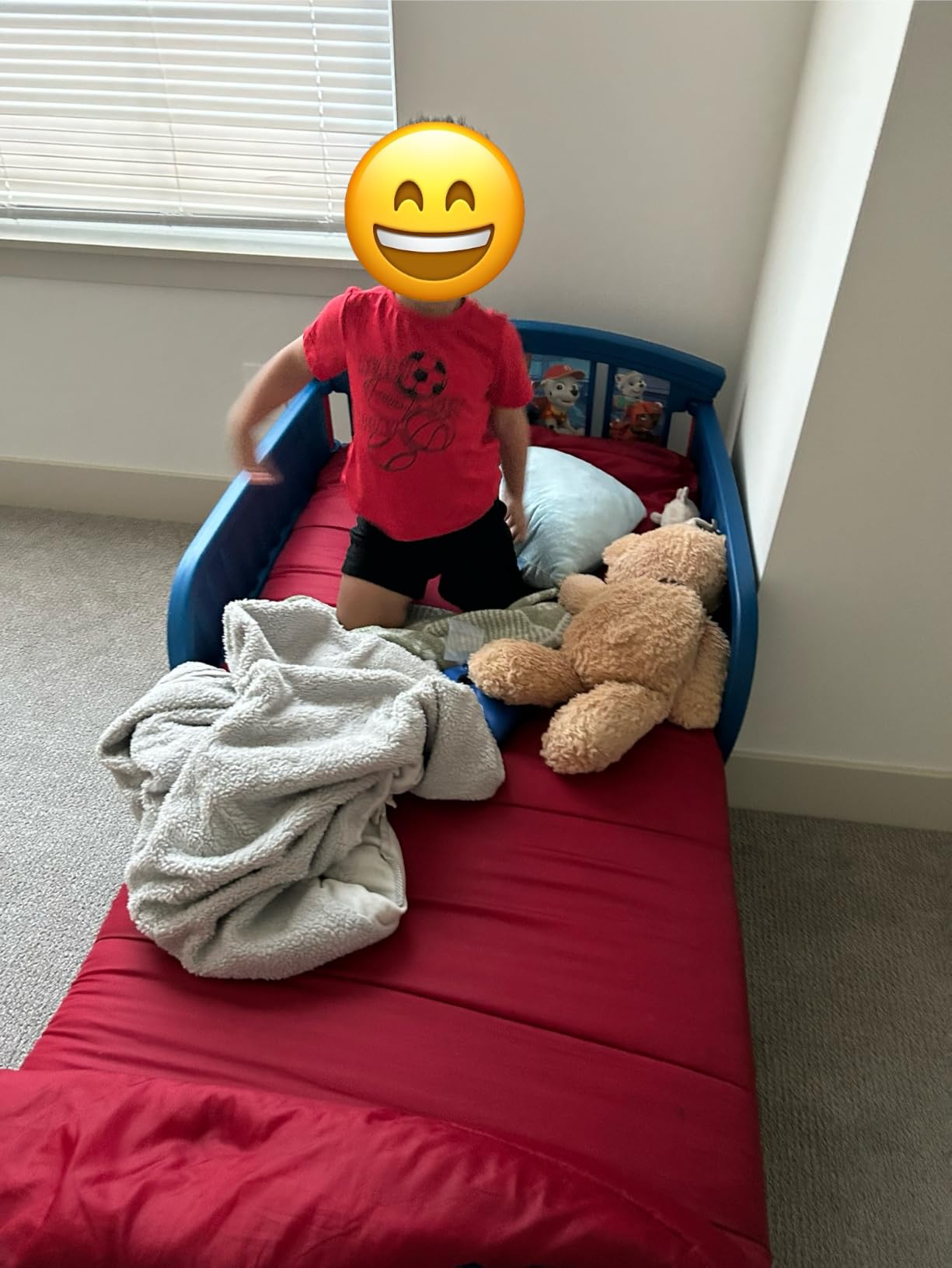Delta Children Plastic Toddler Bed, Nick Jr. PAW Patrol customer photo 1