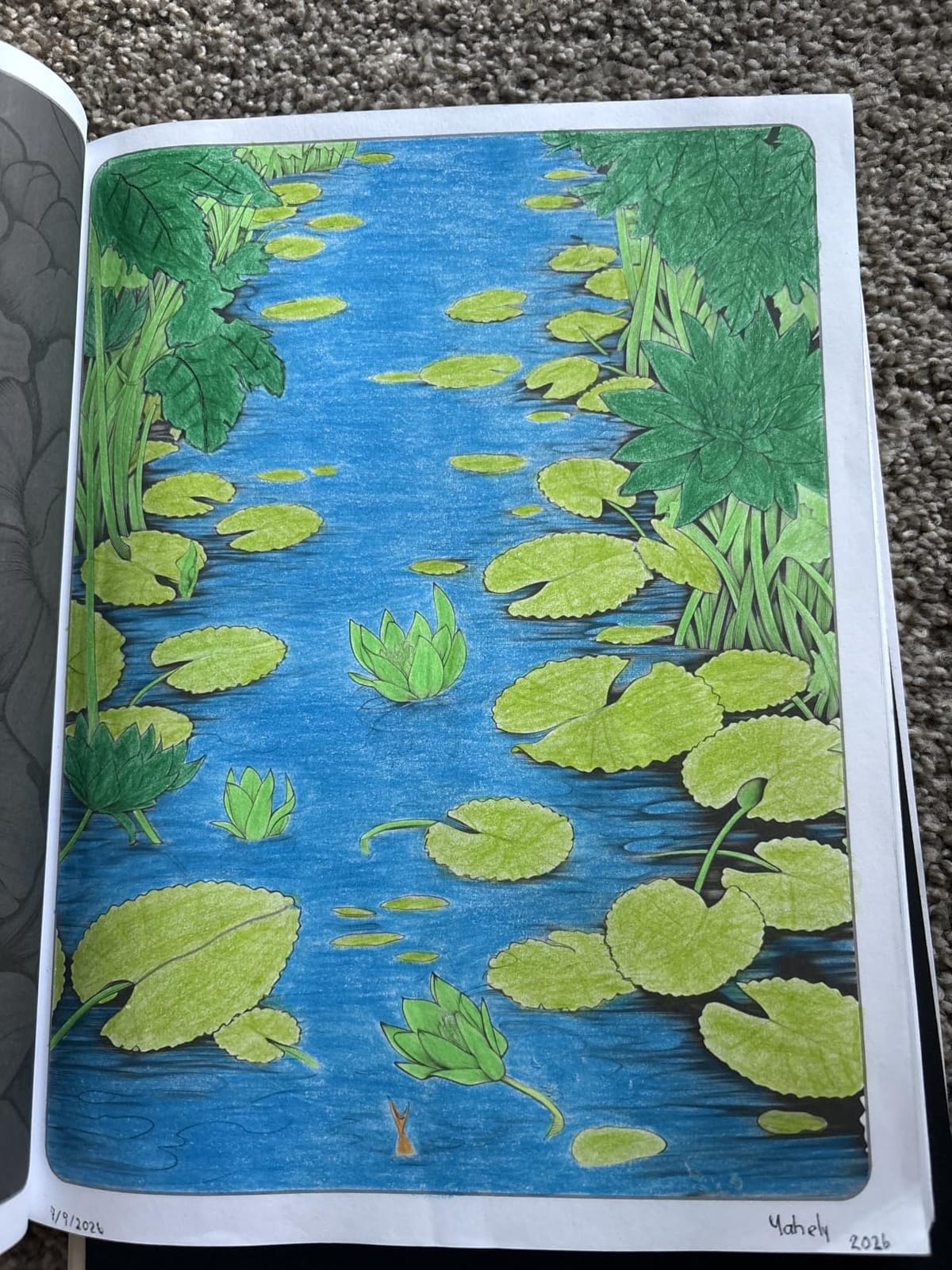Soucolor 72 Colored Pencils for Adult Coloring Book,Back to School Supplies customer photo 1