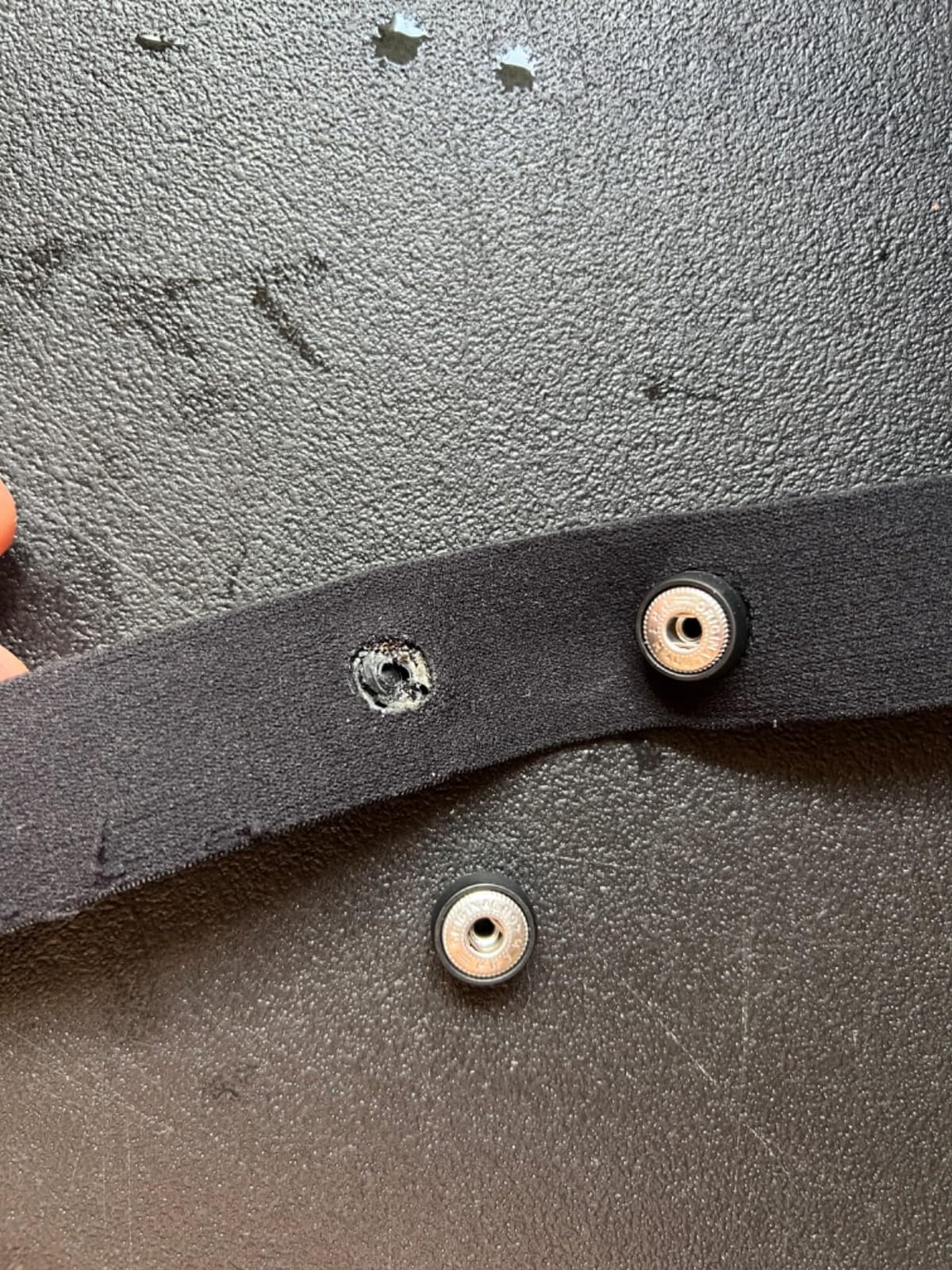 Polar Pro Chest Strap - Heart Rate Monitor Belt customer photo 2