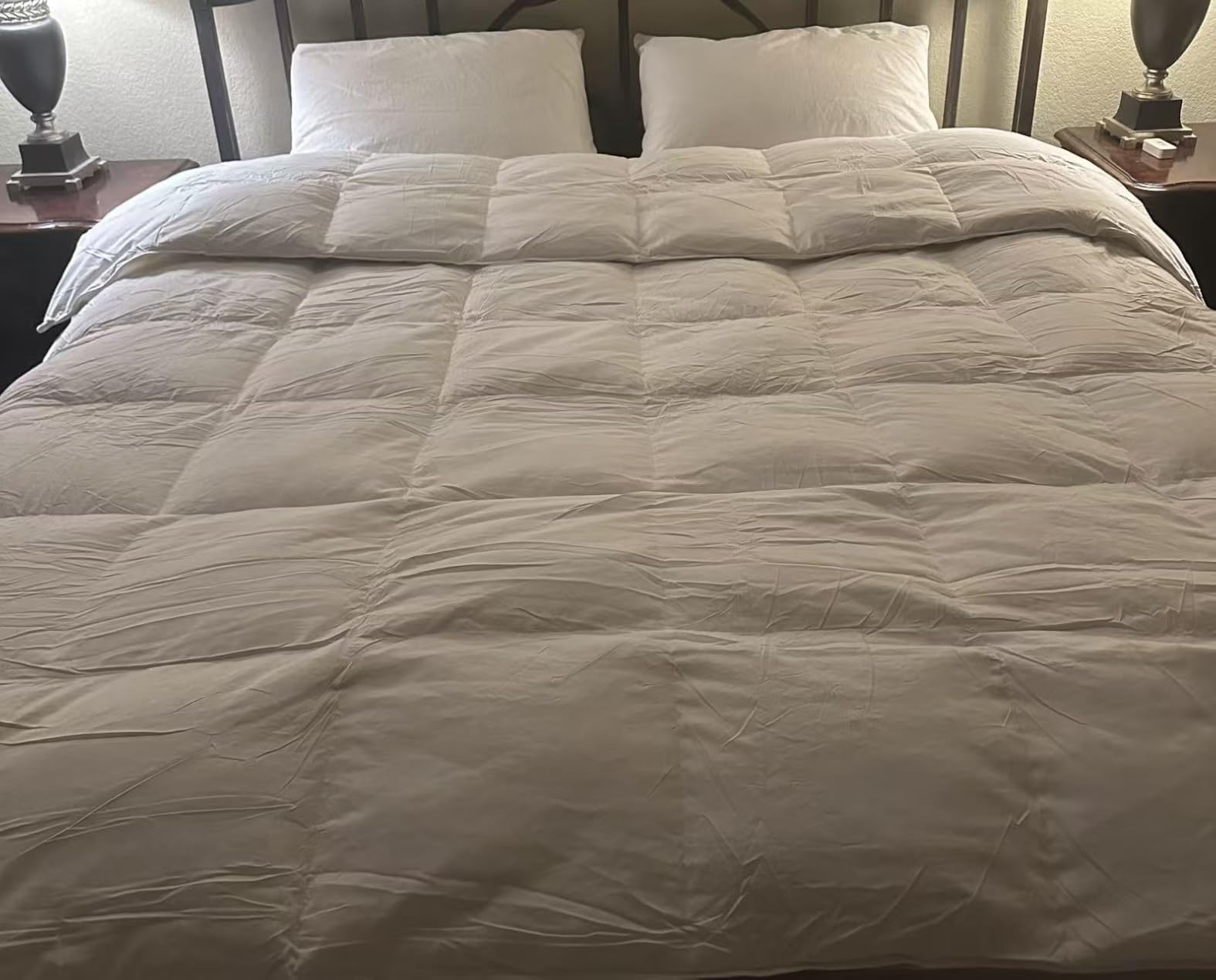 Globon Winter Goose Down Comforter Queen Size,800 Fill Power,White customer photo 2