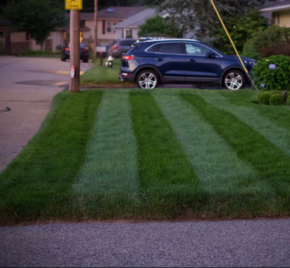 Liquid Soil Loosener- Soil Conditioner-Use alone or when Aerating with Mechanical Aerator or Core Aeration- Simple Lawn Solutions- Any Grass Type-Great for Compact Soils, Standing water, Poor Drainage customer photo 1