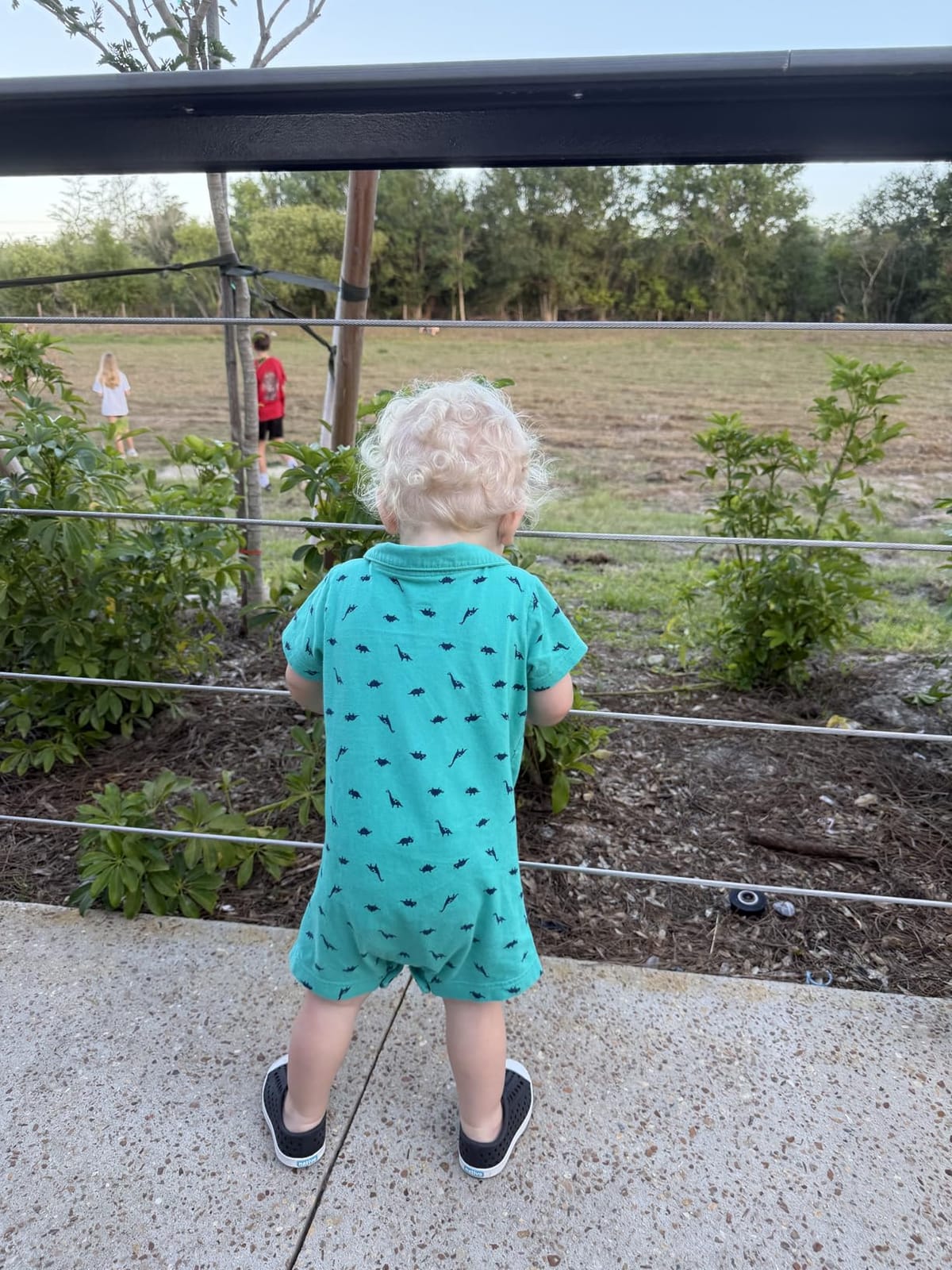 Native Shoes Unisex-Kids Jefferson Sneakers customer photo 1