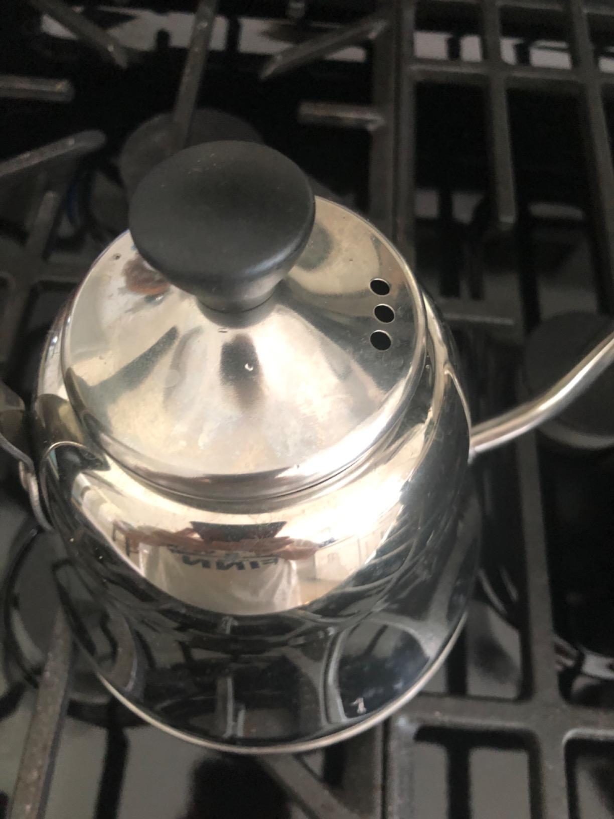 Tea Kettle for Stovetop, Gooseneck Pour Over, Flow Control, 28oz, Silver customer photo 1