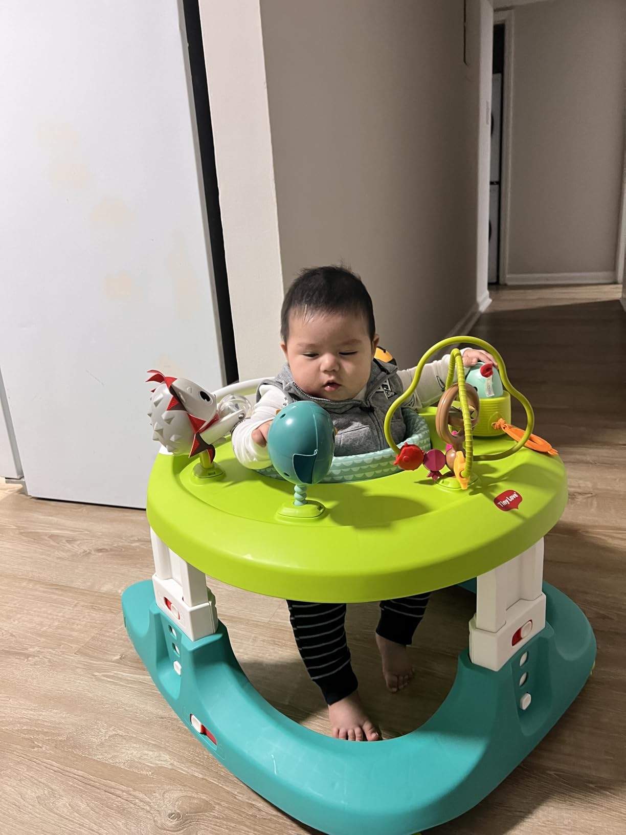 Tiny Love 4-in-1 Here I Grow Mobile Activity Center, Baby Walkers and Activity Center, Baby Activity Center with Interactive Toys and Developmental Activities, Meadow Days customer photo 1